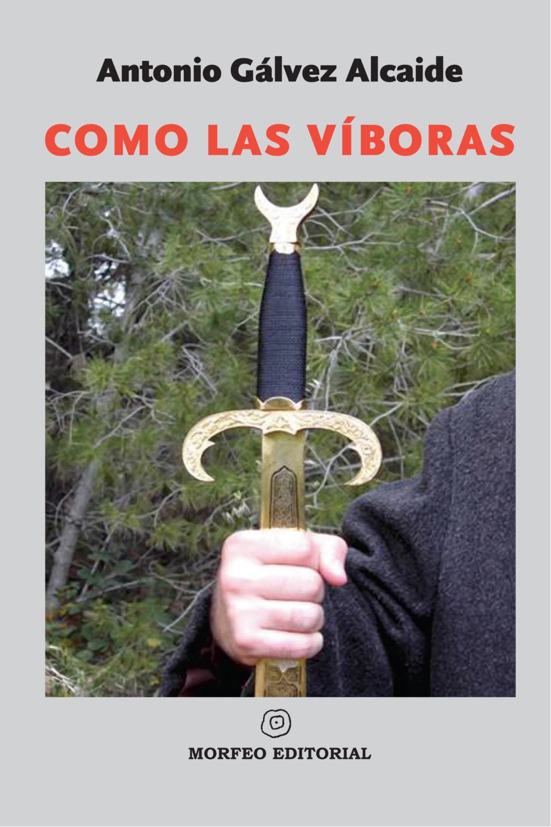 Como las V?boras (Biblioteca Gálvez, Band 2) Contemporary literature