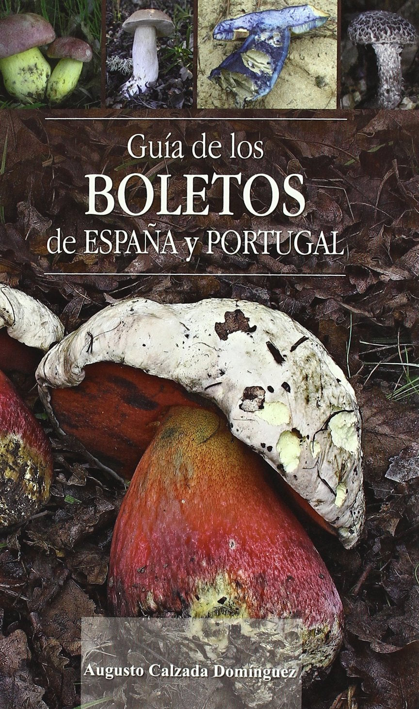 Guía de los boletos de España y Portugal book