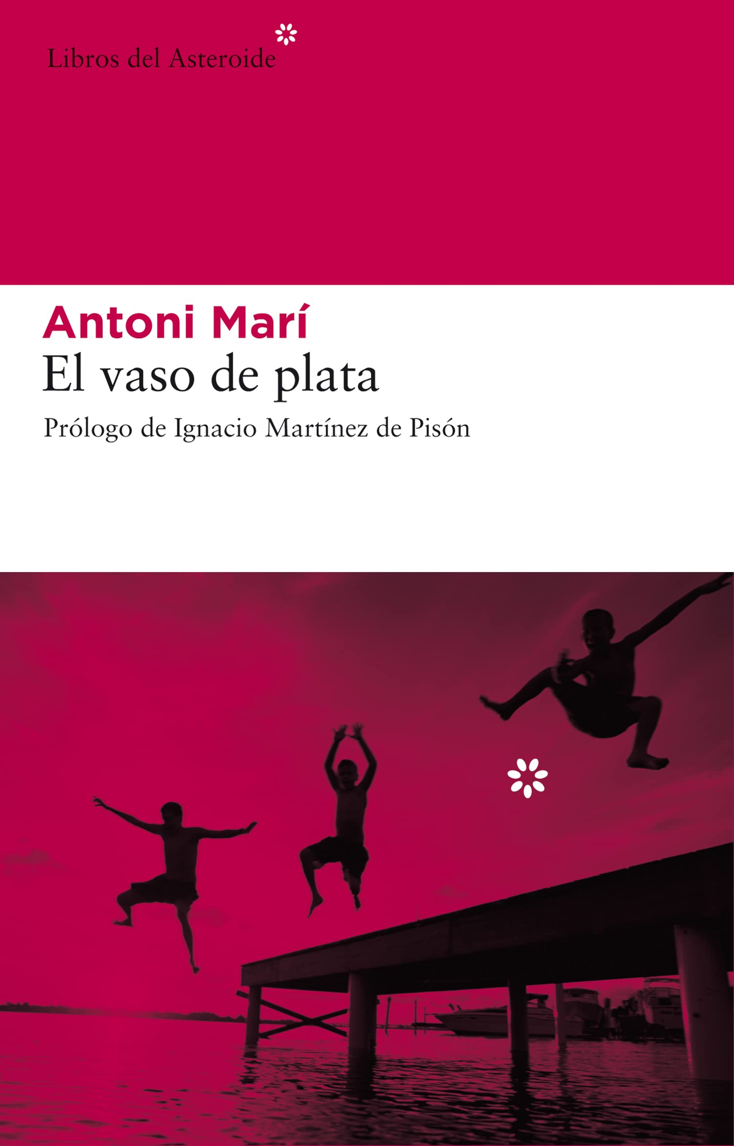 El vaso de plata : y otras obras de misericordia Contemporary literature
