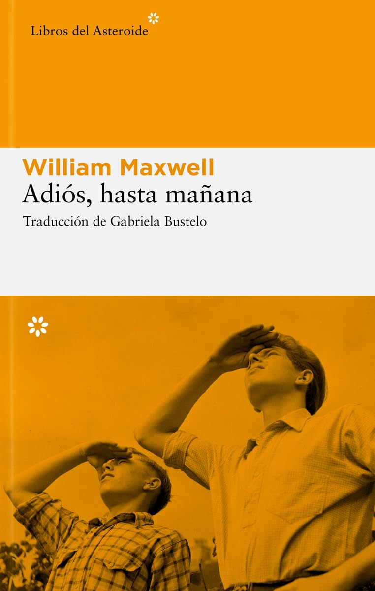 Adiós, hasta mañana (Libros del Asteroide, Band 37) Contemporary literature
