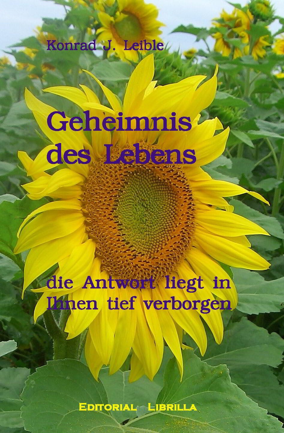 Geheimnis des Lebens - Die Antwort liegt in Ihnen tief verborgen Books