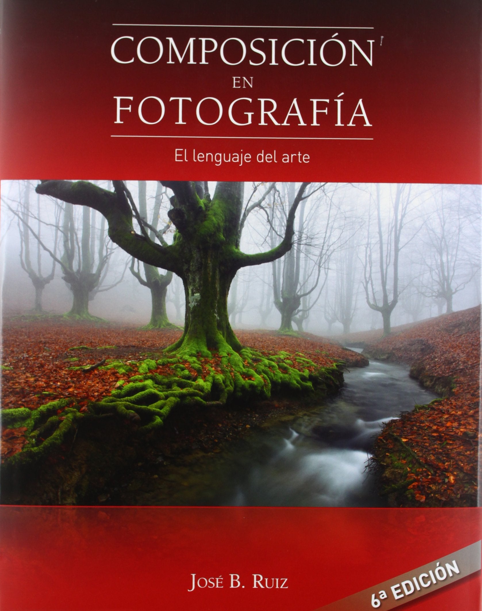 Composicion en fotografia : el lenguaje del arte book