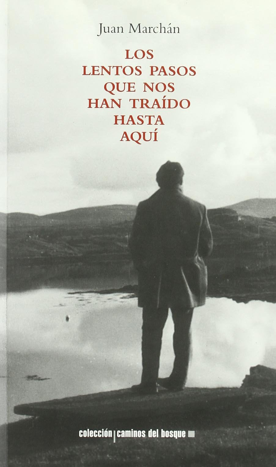 Los lentos pasos que nos han traído hasta aquí book