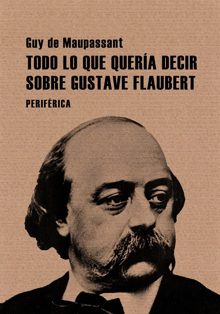 Todo lo que quería decir sobre Gustave Flaubert (Pequeños tratados, Band 5) Contemporary literature