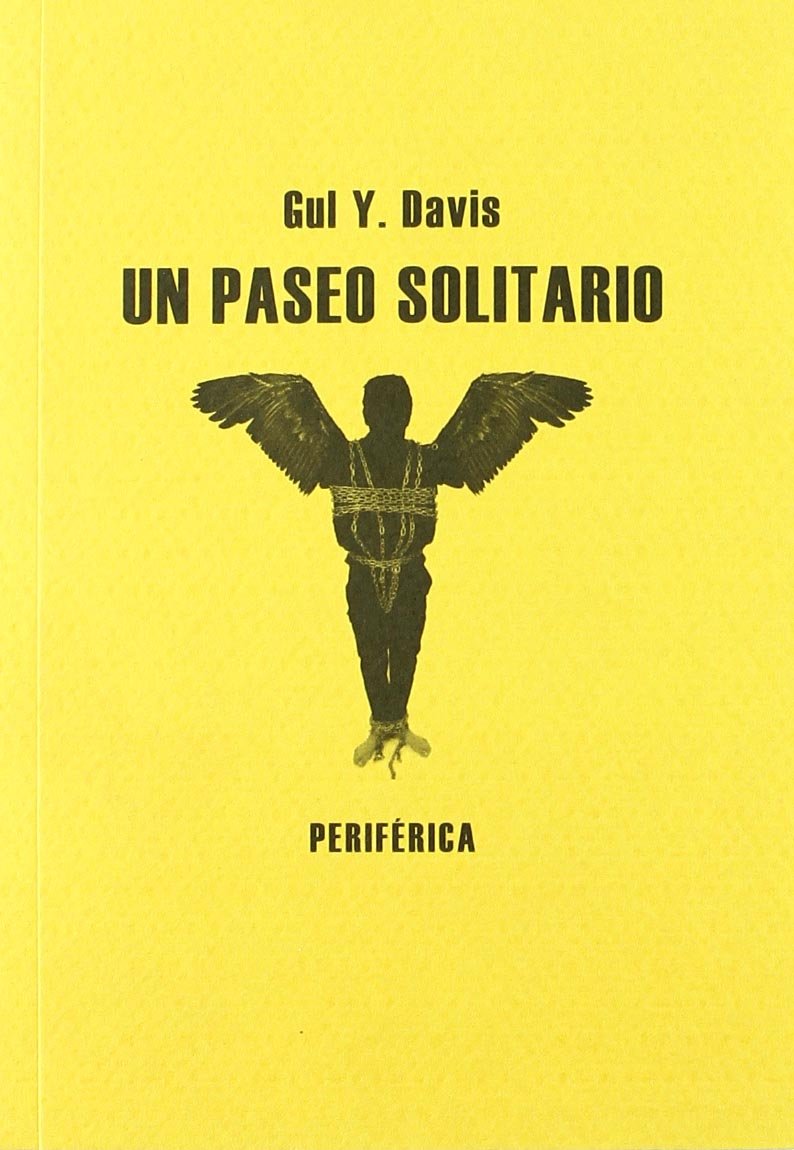 Un paseo solitario: A Lone Walk book