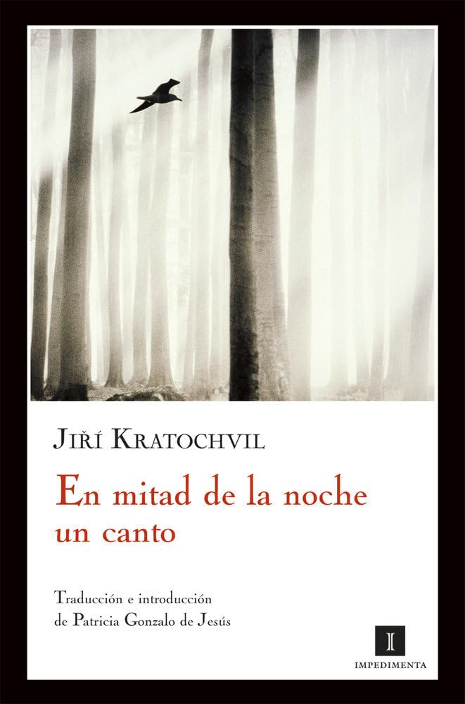 En mitad de la noche un canto Contemporary literature