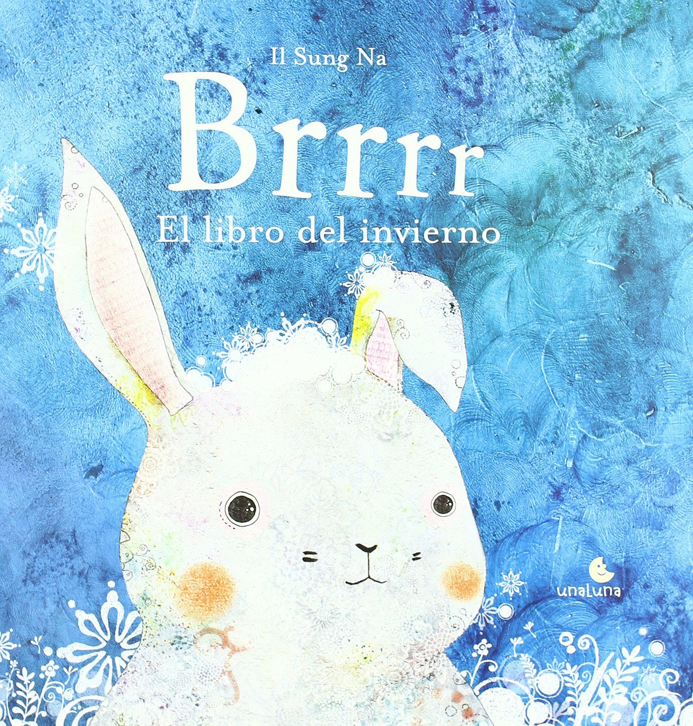 Brrr: El libro del invierno / A Book of Winter book