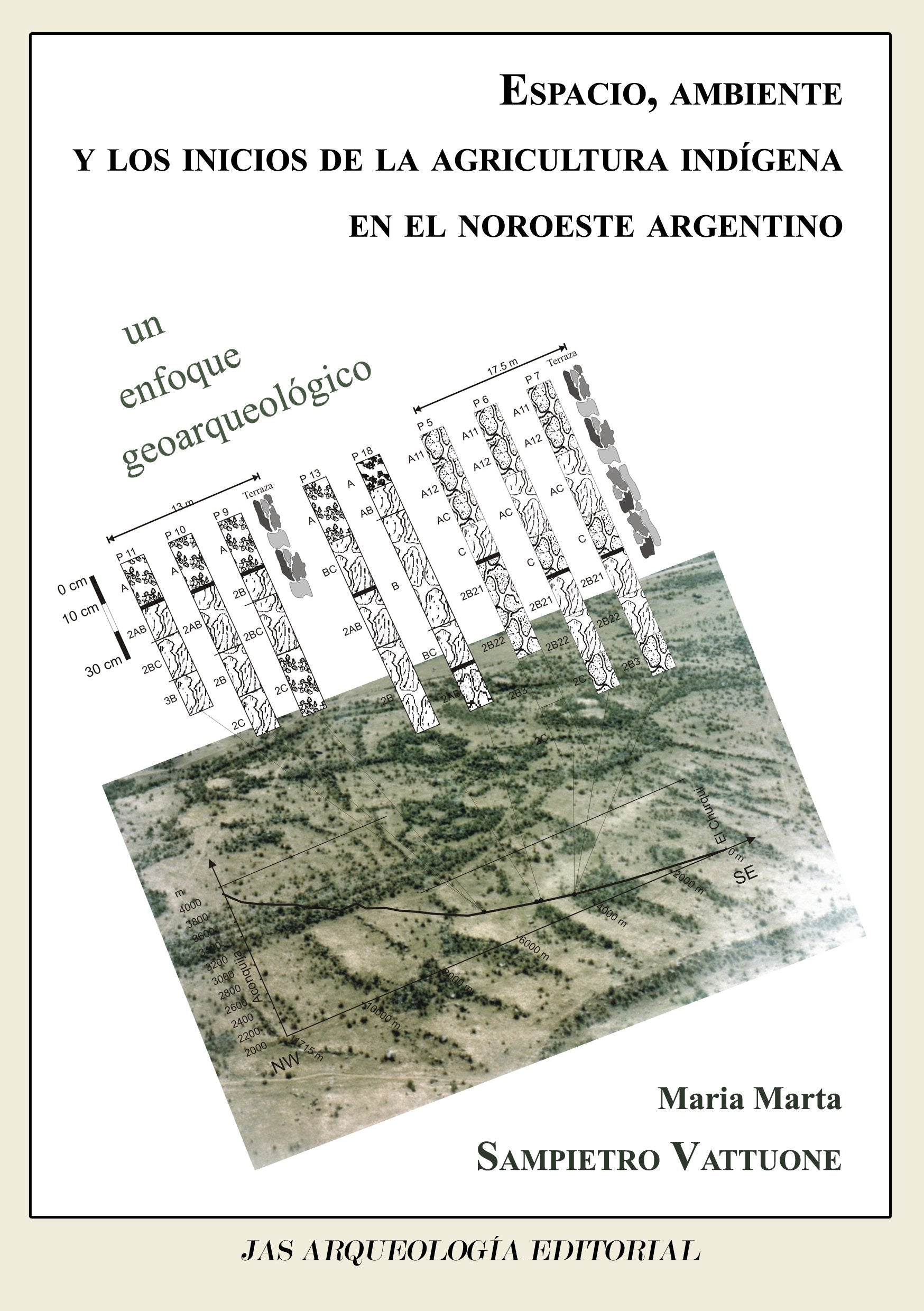 ESPACIO, AMBIENTE Y LOS INICIOS DE LA AGRICULTURA INDIGENA EN EL NOROESTE ARGENT Books