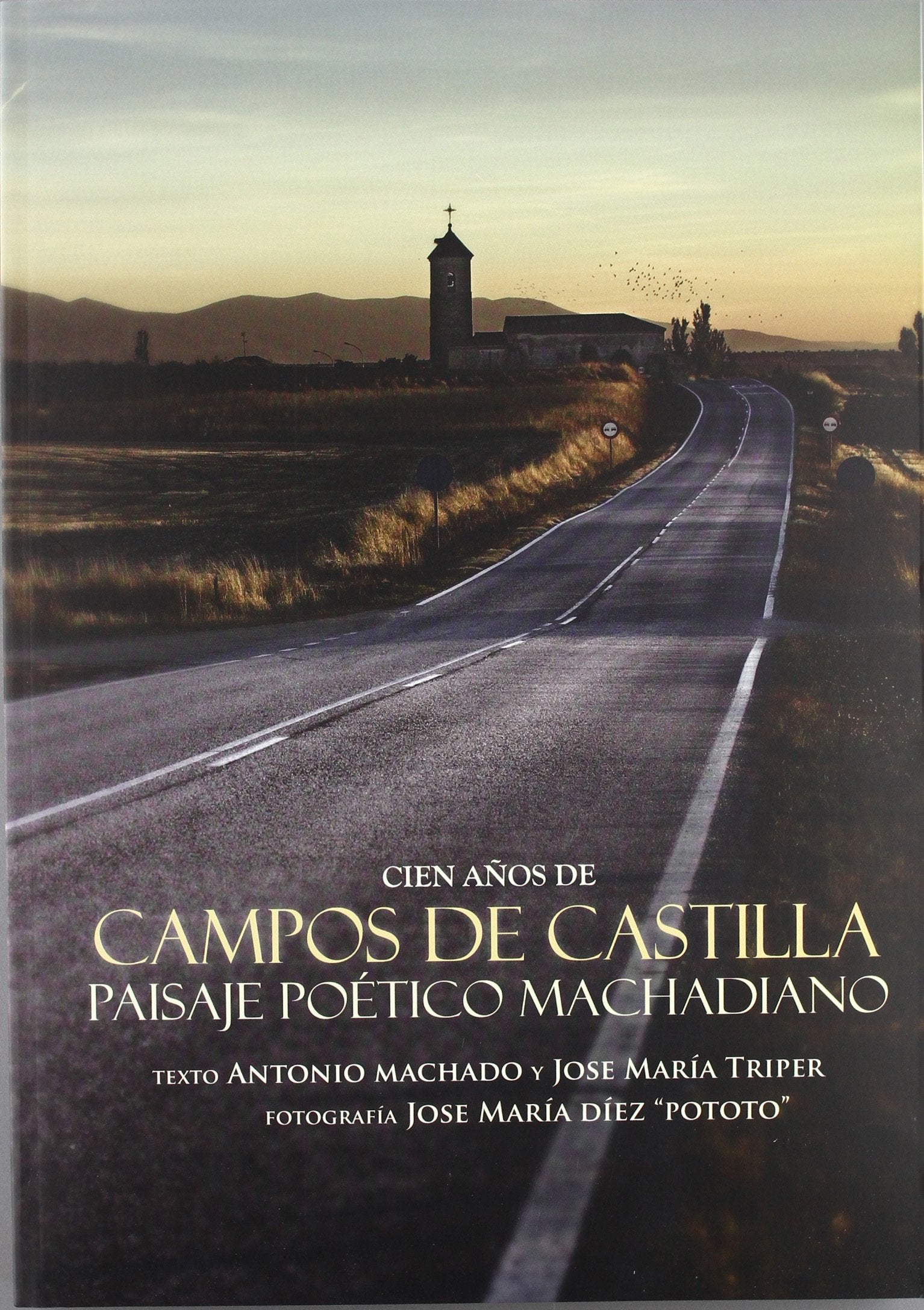 100 años de Campos de Castilla : paisaje poético machadiano Non-fiction