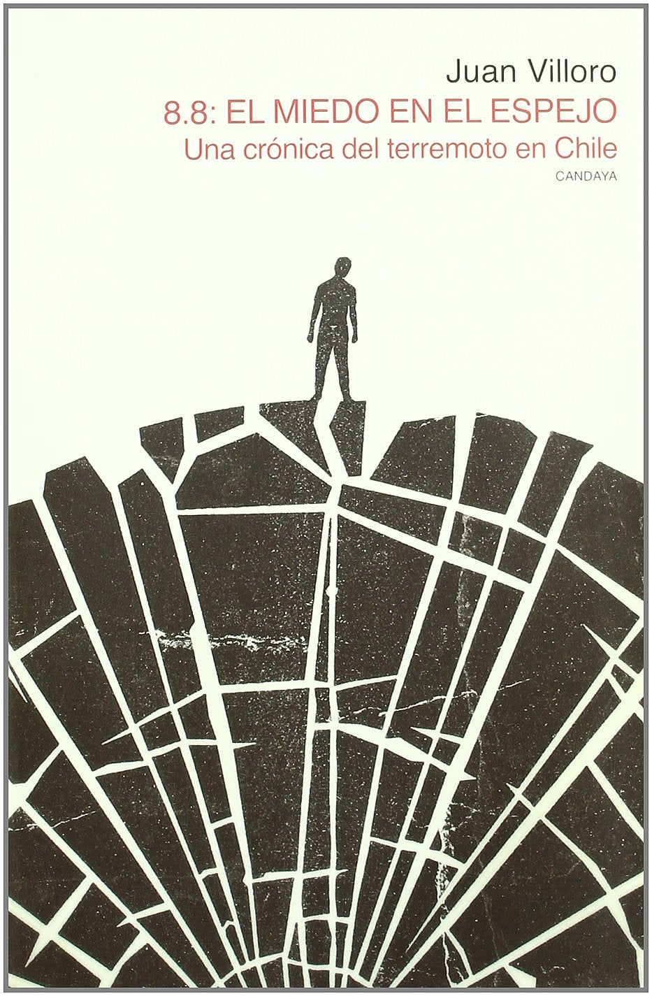 8.8, el miedo en el espejo : una crónica del terremoto en Chile book