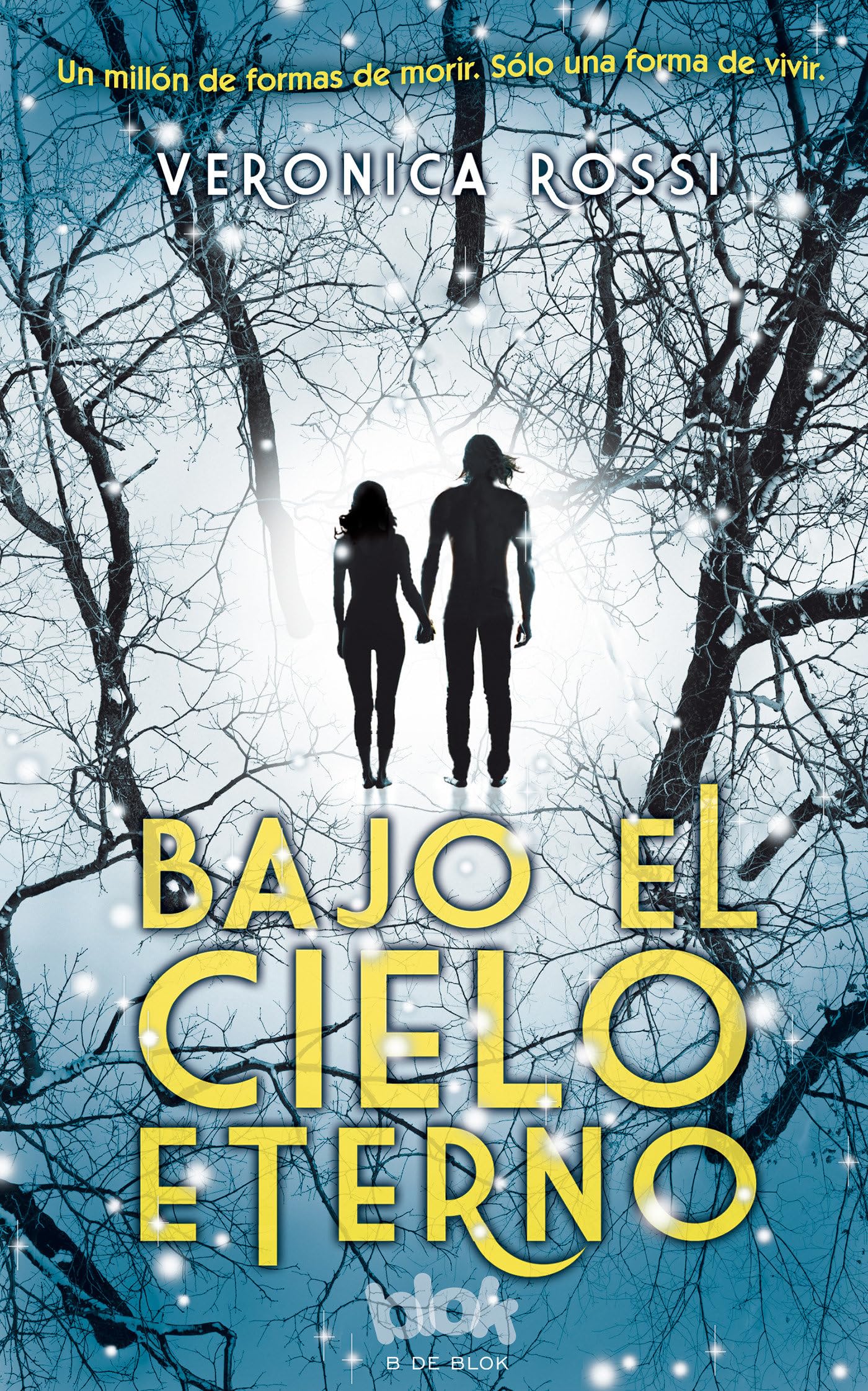 Bajo el cielo eterno / Under the Never Sky book