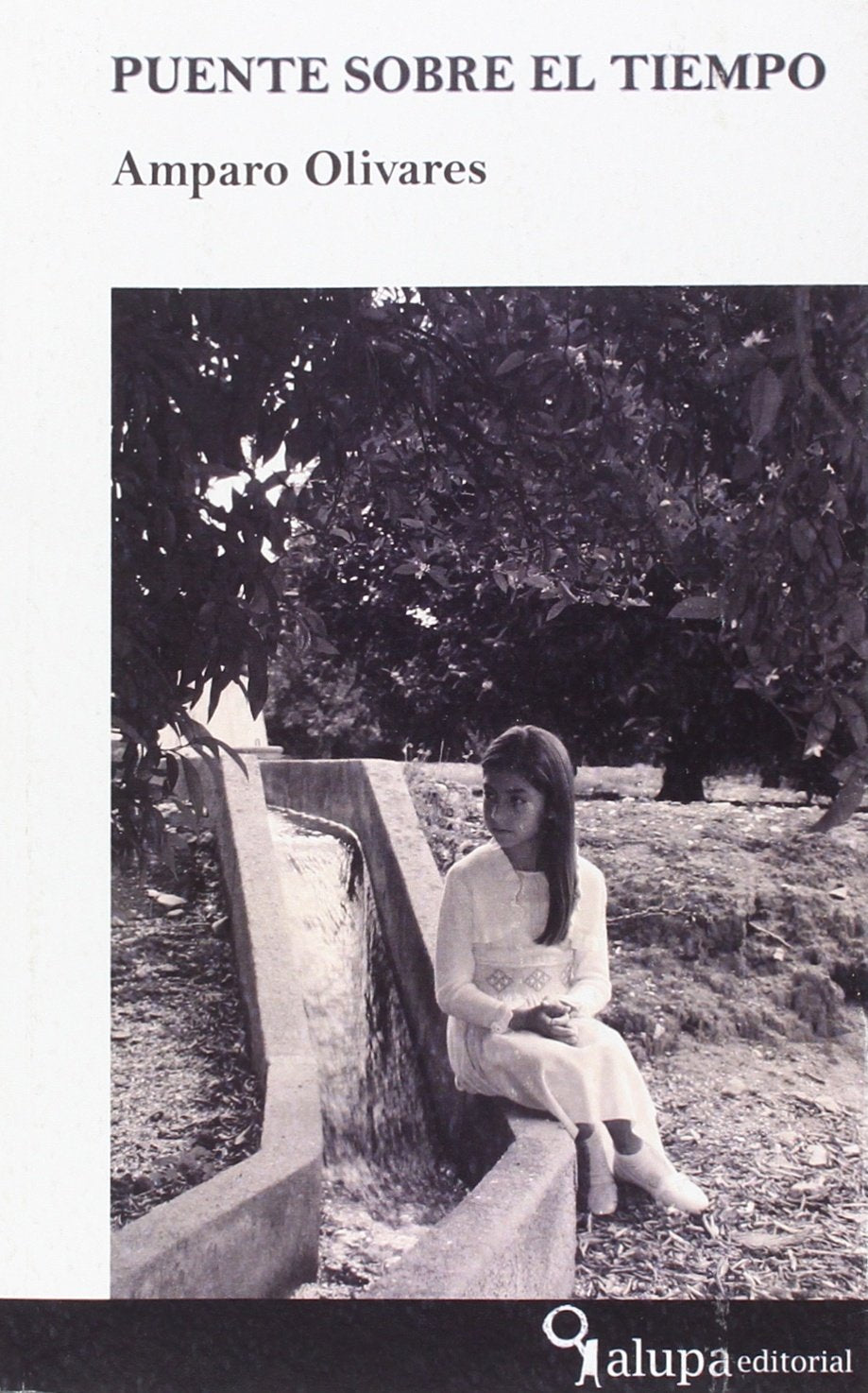 Puente sobre el tiempo book