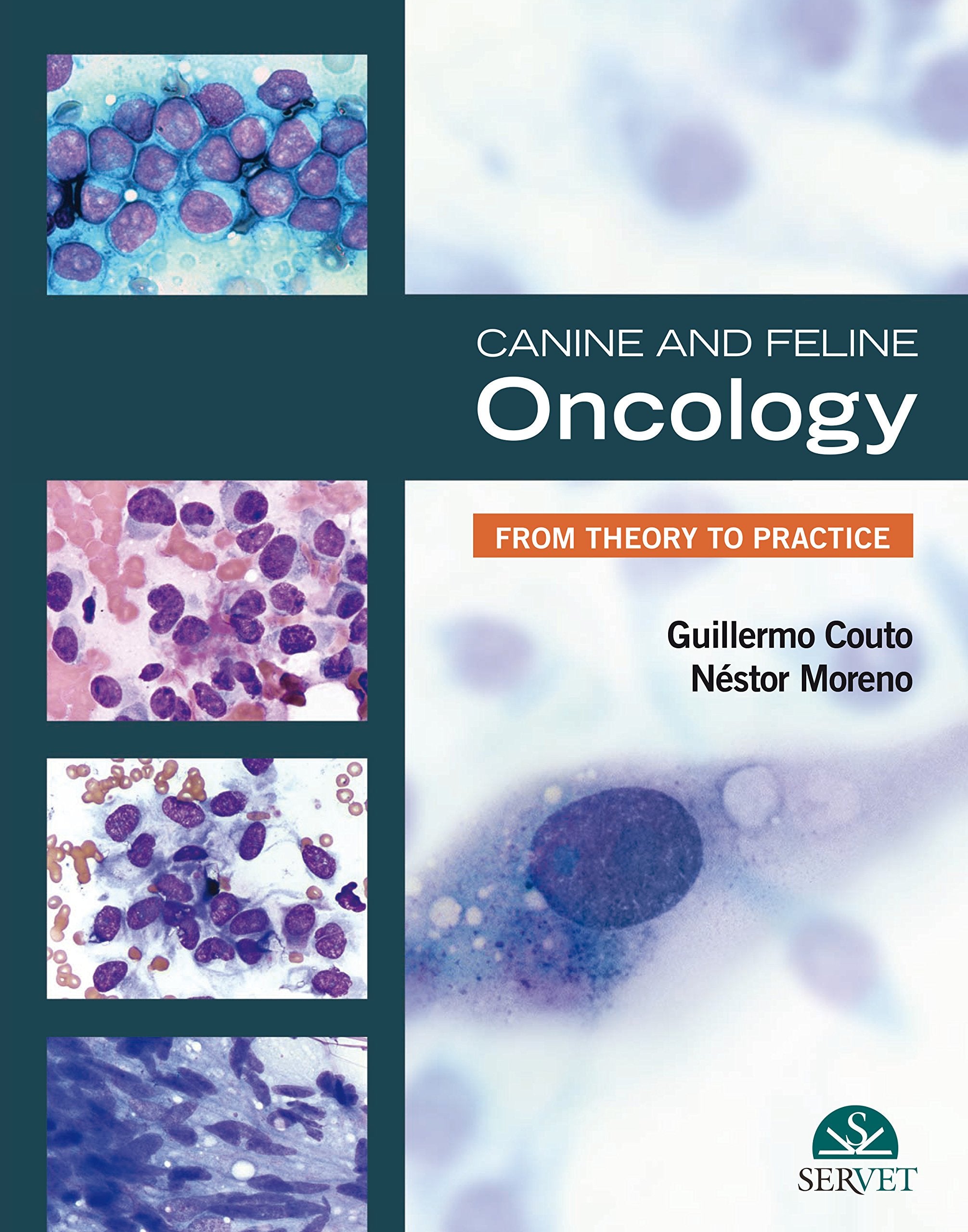 Canine and feline oncology : from theory to practice Medicine