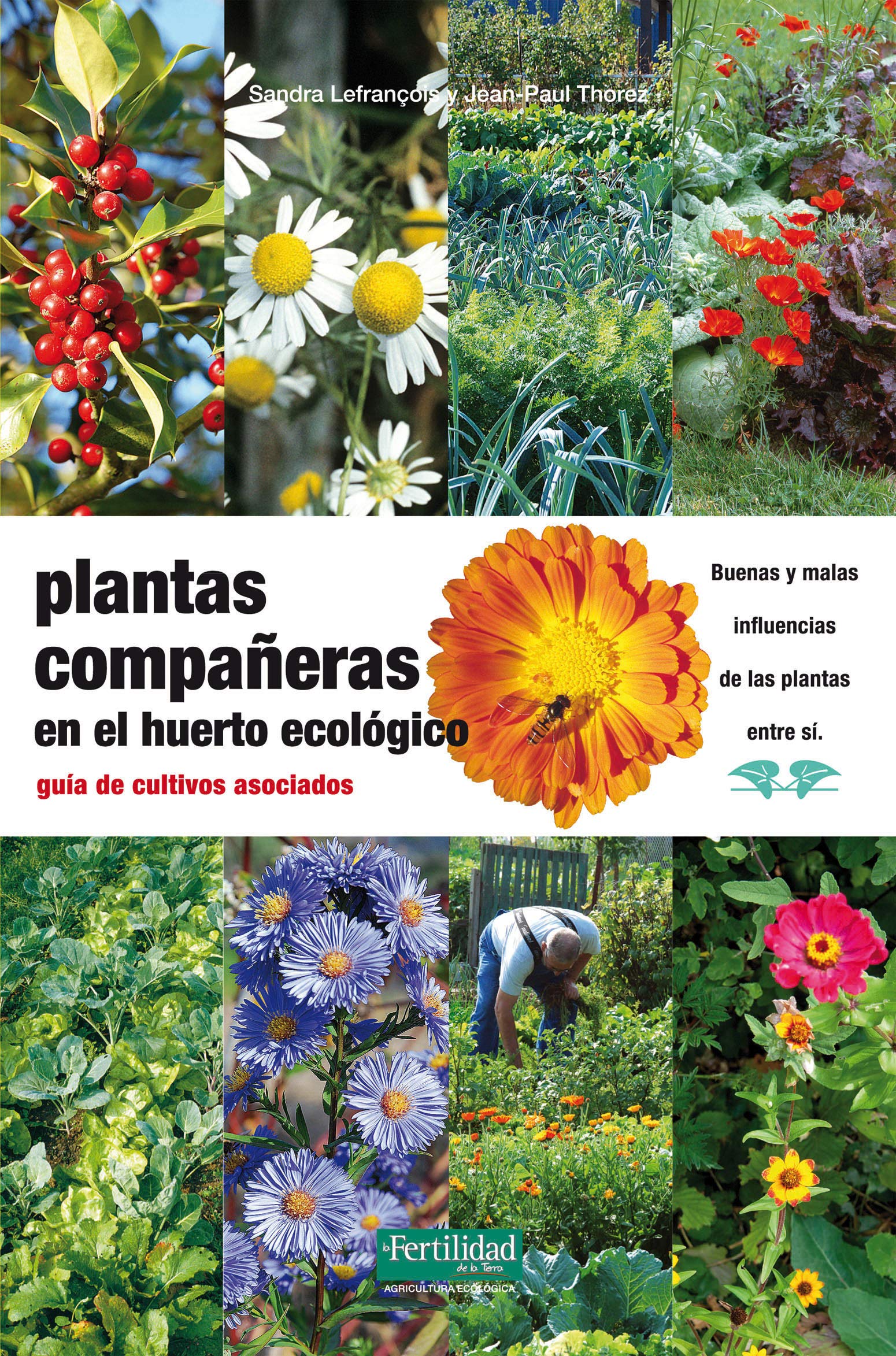 Plantas compañeras del huerto : guía de cultivos asociados Mathematics