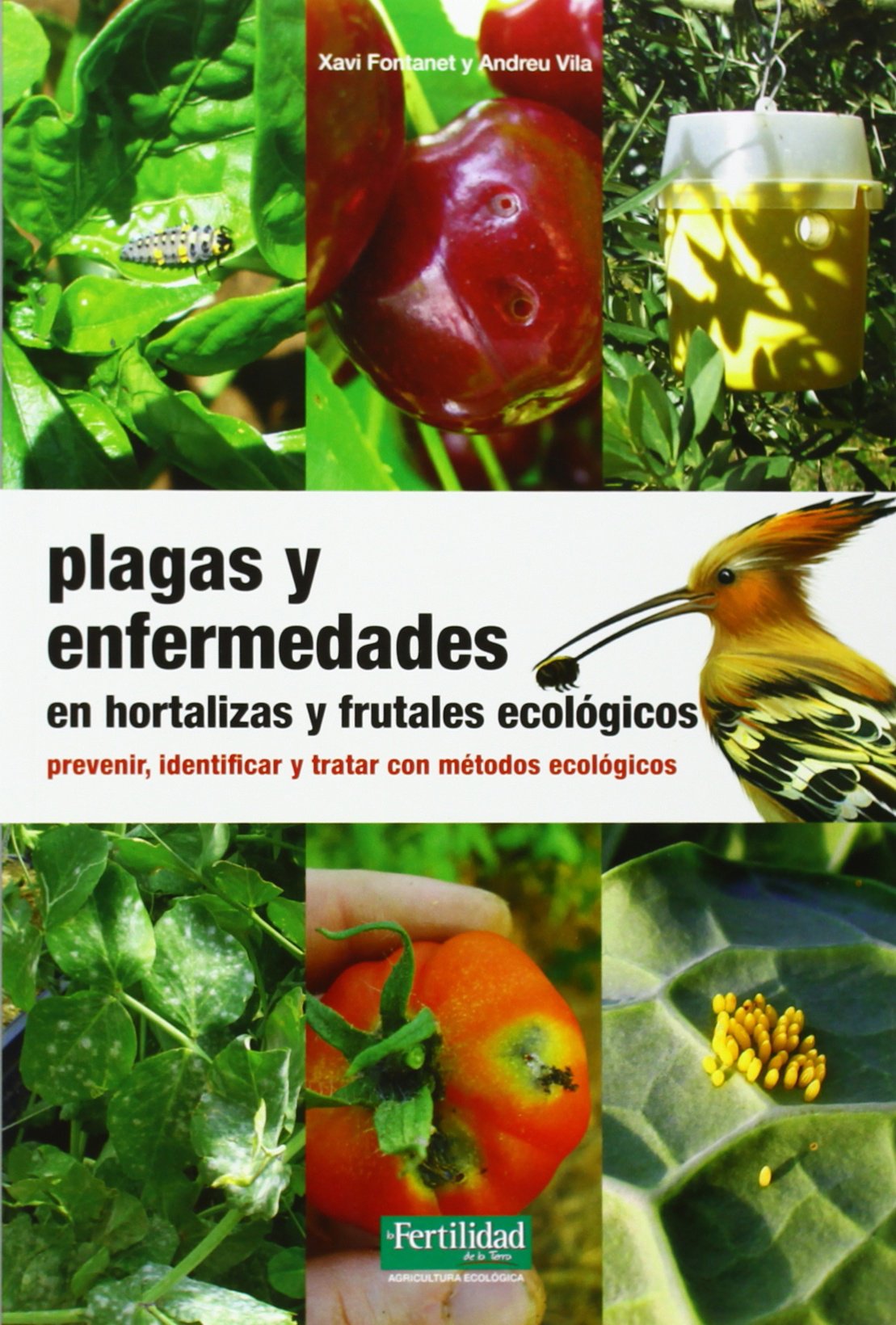 Plagas y enfermedades en hortalizas y frutales ecológicos : prevenir, identificar y tratar con métodos ecológicos (Guías para la Fertilidad de la Tierra, Band 18) Mathematics