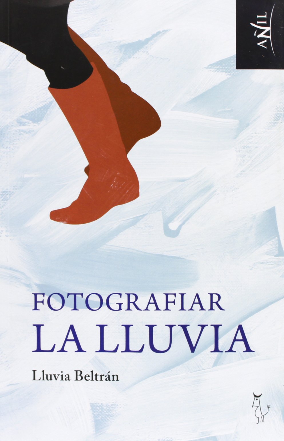 FOTOGRAFIAR LA LLUVIA Contemporary literature