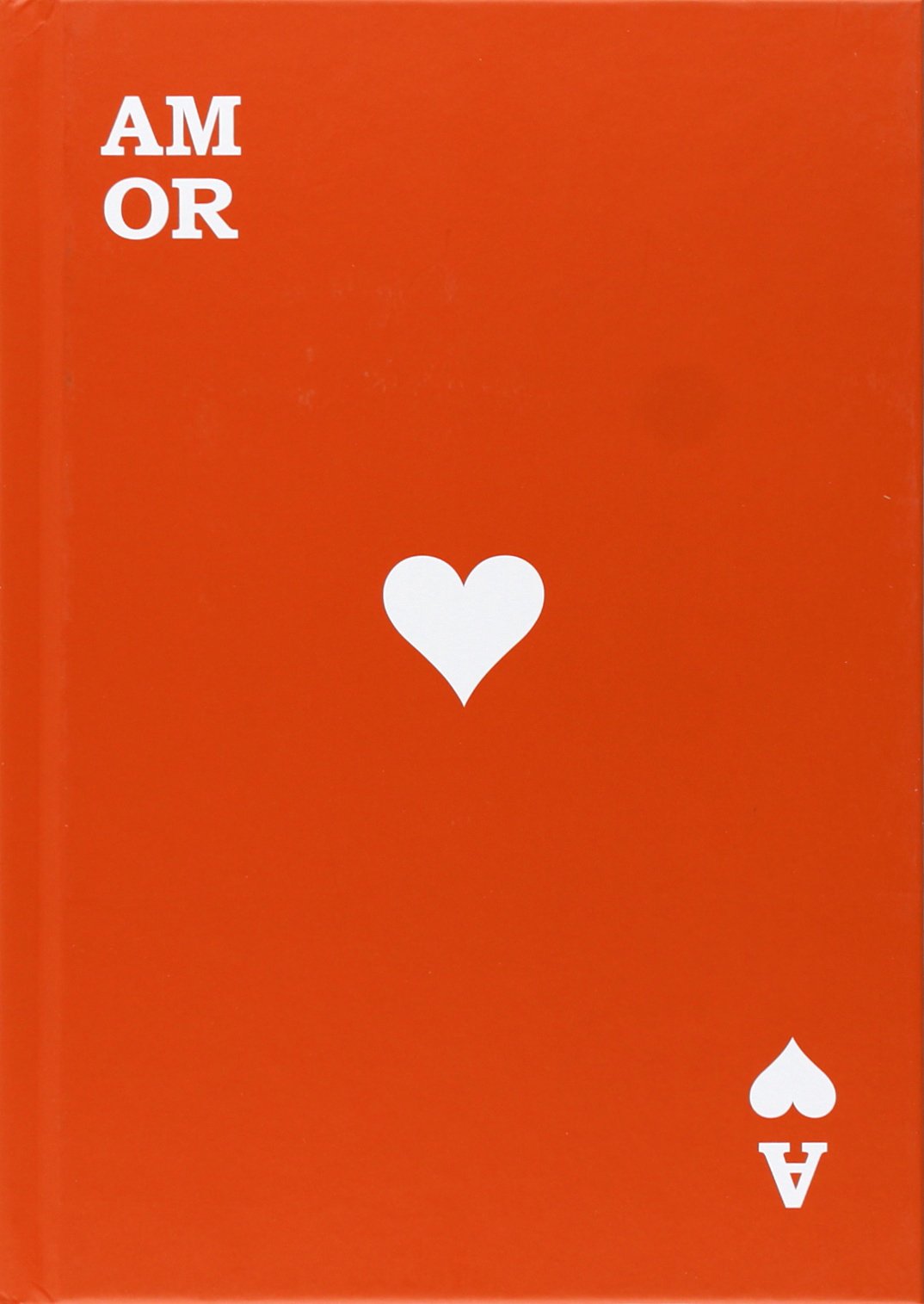 Amor : un libro escrito entre dos (Bridge, Band 9) Lifestyle