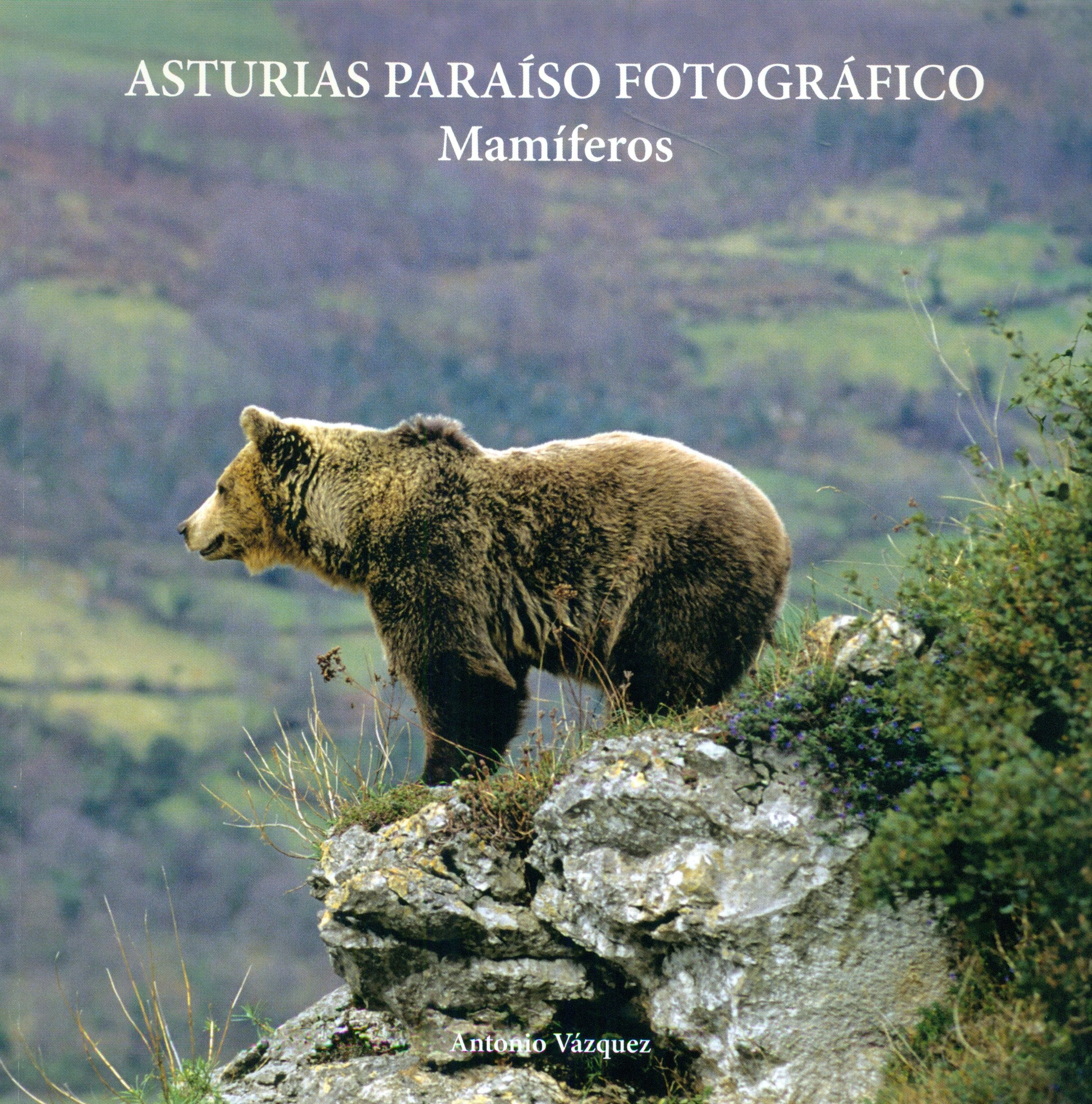 Asturias paraíso fotográfico book