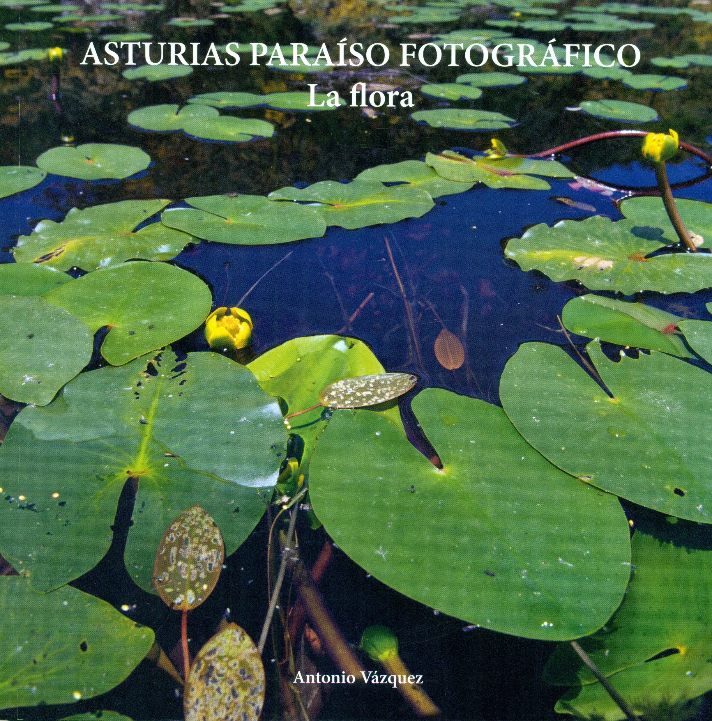 Asturias paraíso fotográfico Books