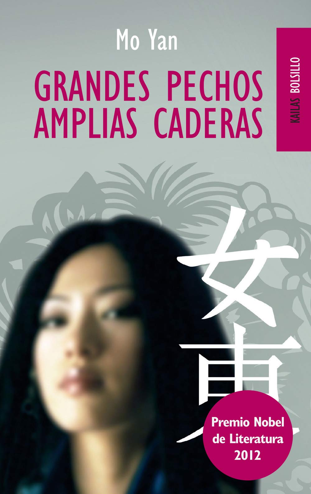 Grandes pechos amplias caderas (bolsillo) book
