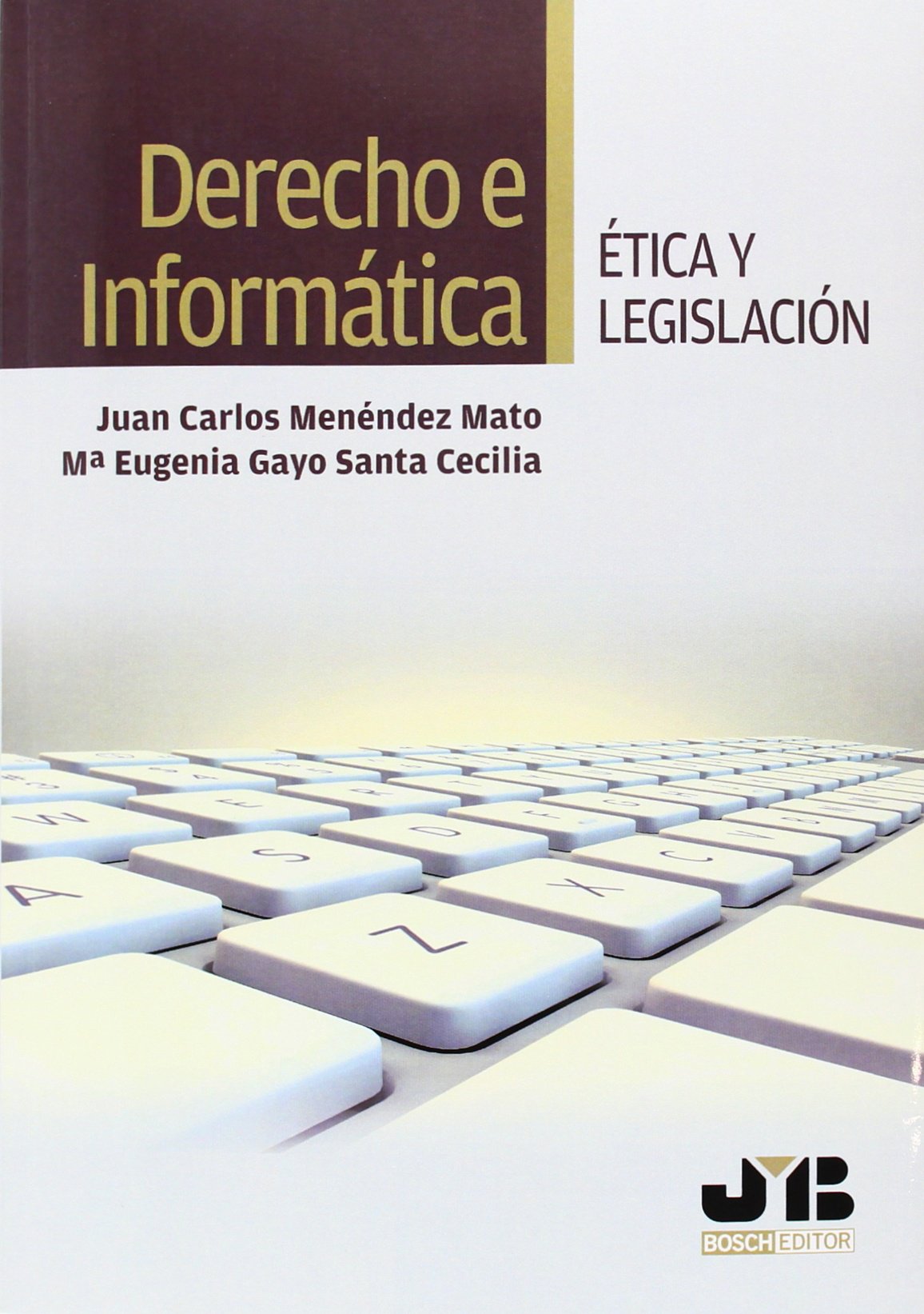 Derecho e Informática. Ética y legislación book