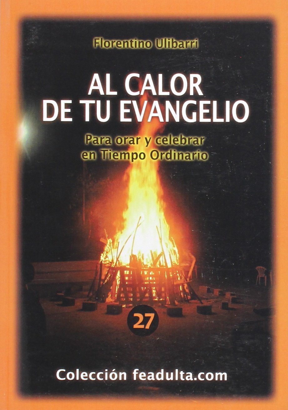 Pilares de una fe adulta : reflexión en libertad sobre temas fundamentales (Colección feadulta.com, Band 29) Religion & Esotericism