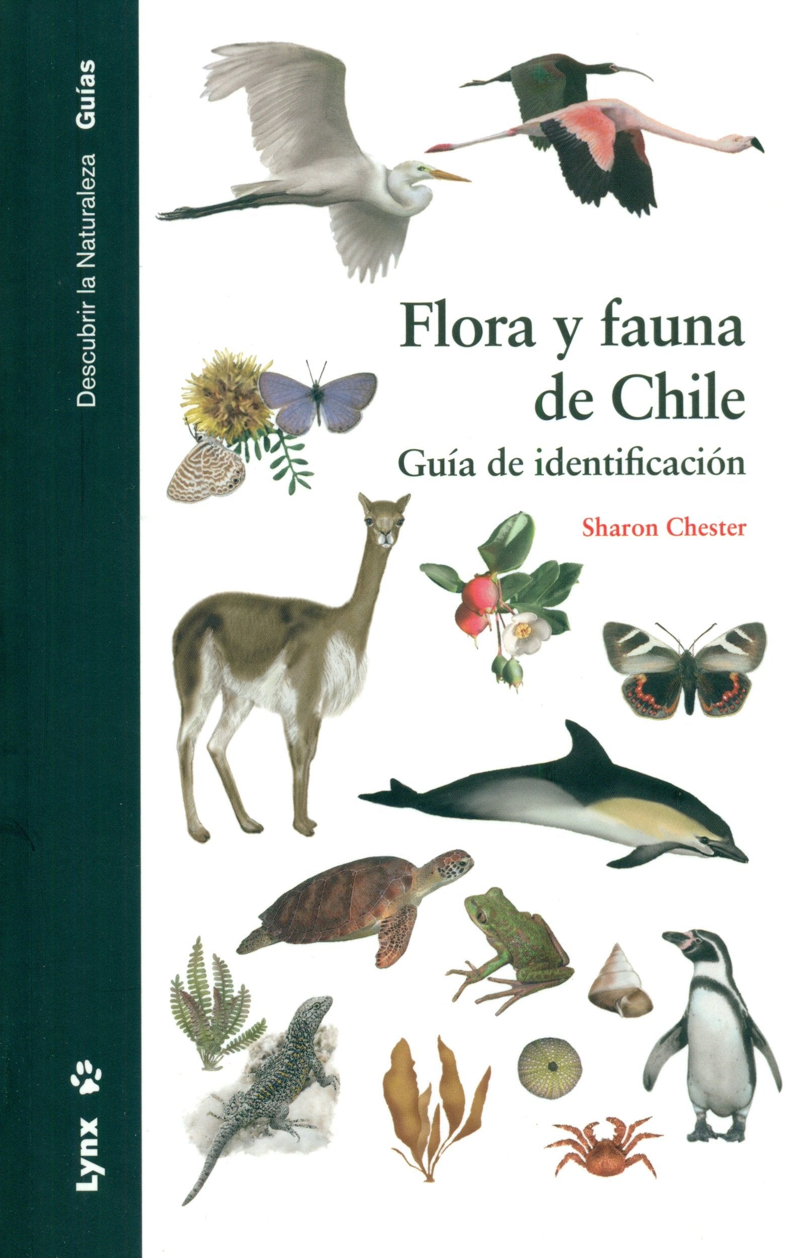 Flora y fauna de Chile : guía de identificación (Descubrir la Naturaleza. Guías) Natural Sciences