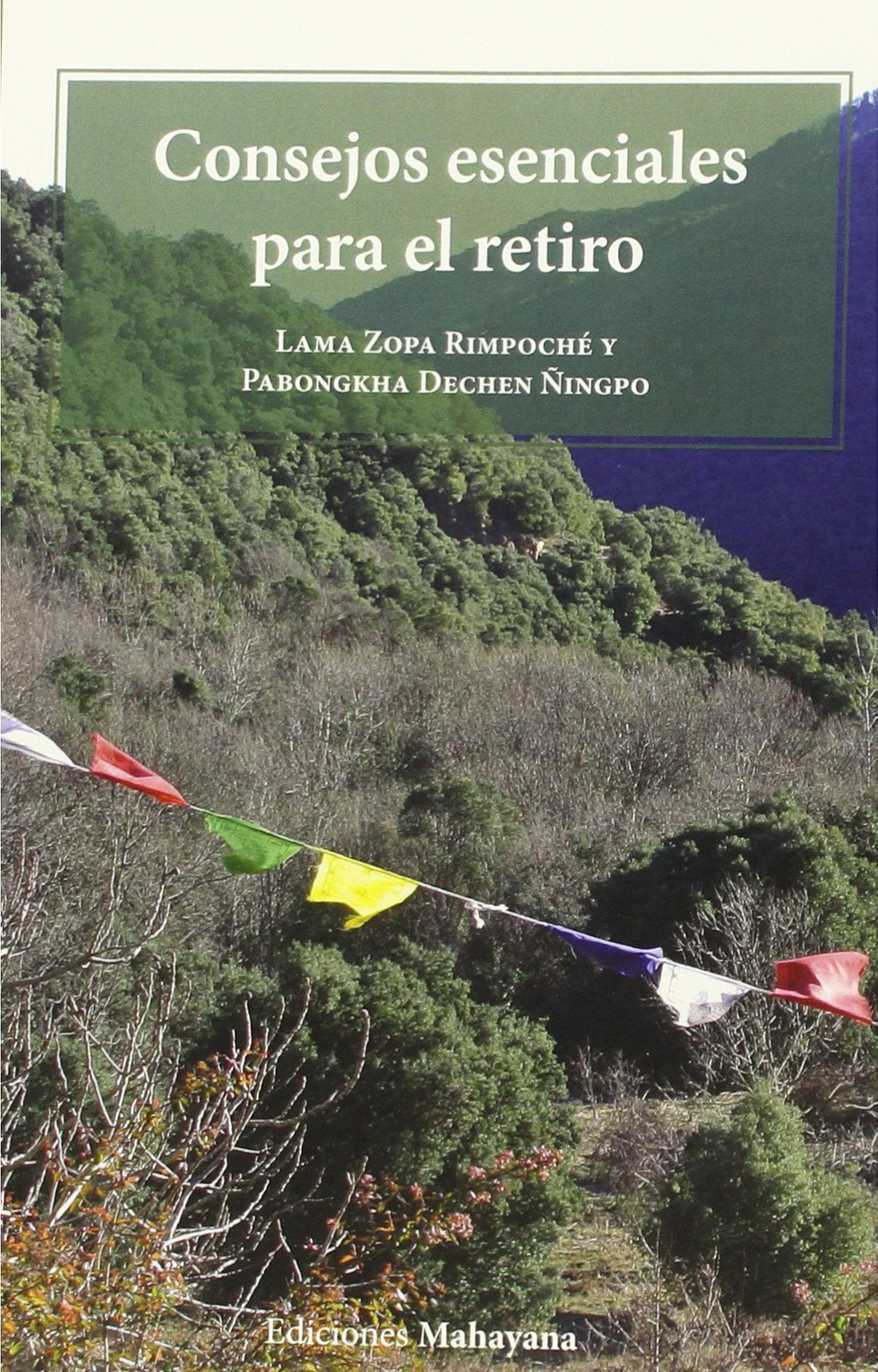 Consejos esenciales para el retiro book