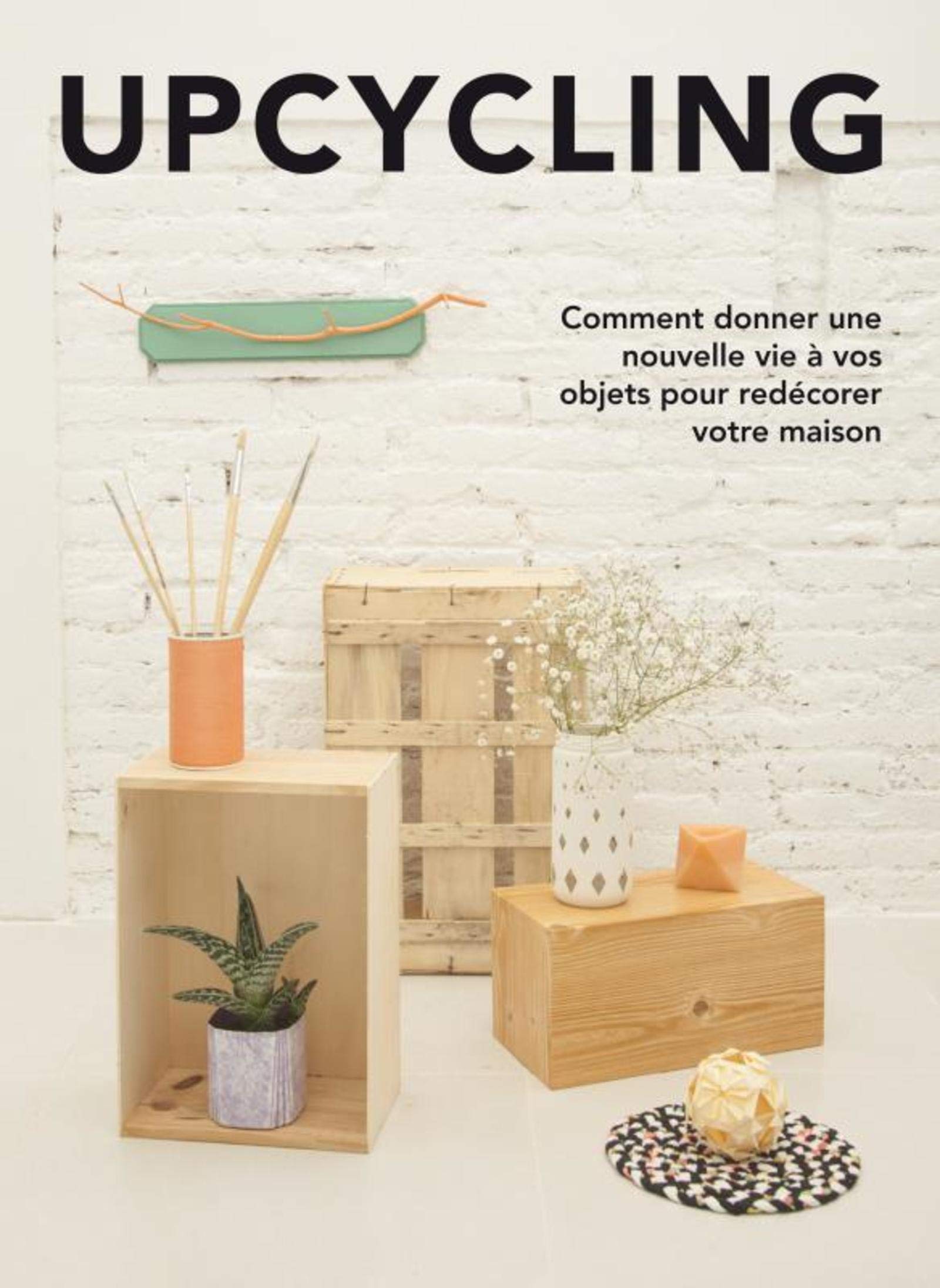 Upcycling : Comment donner une nouvelle vie à vos objets pour redécorer votre maison book