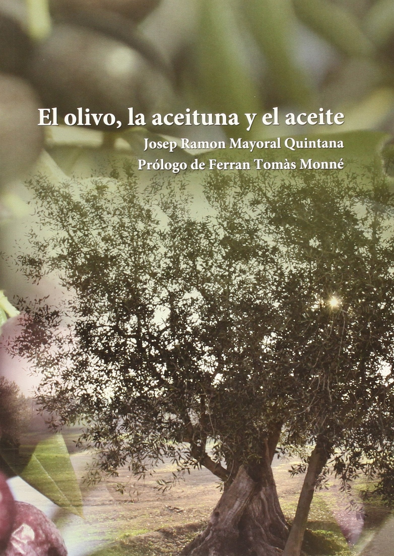 El olivo, la aceituna y el aceite book