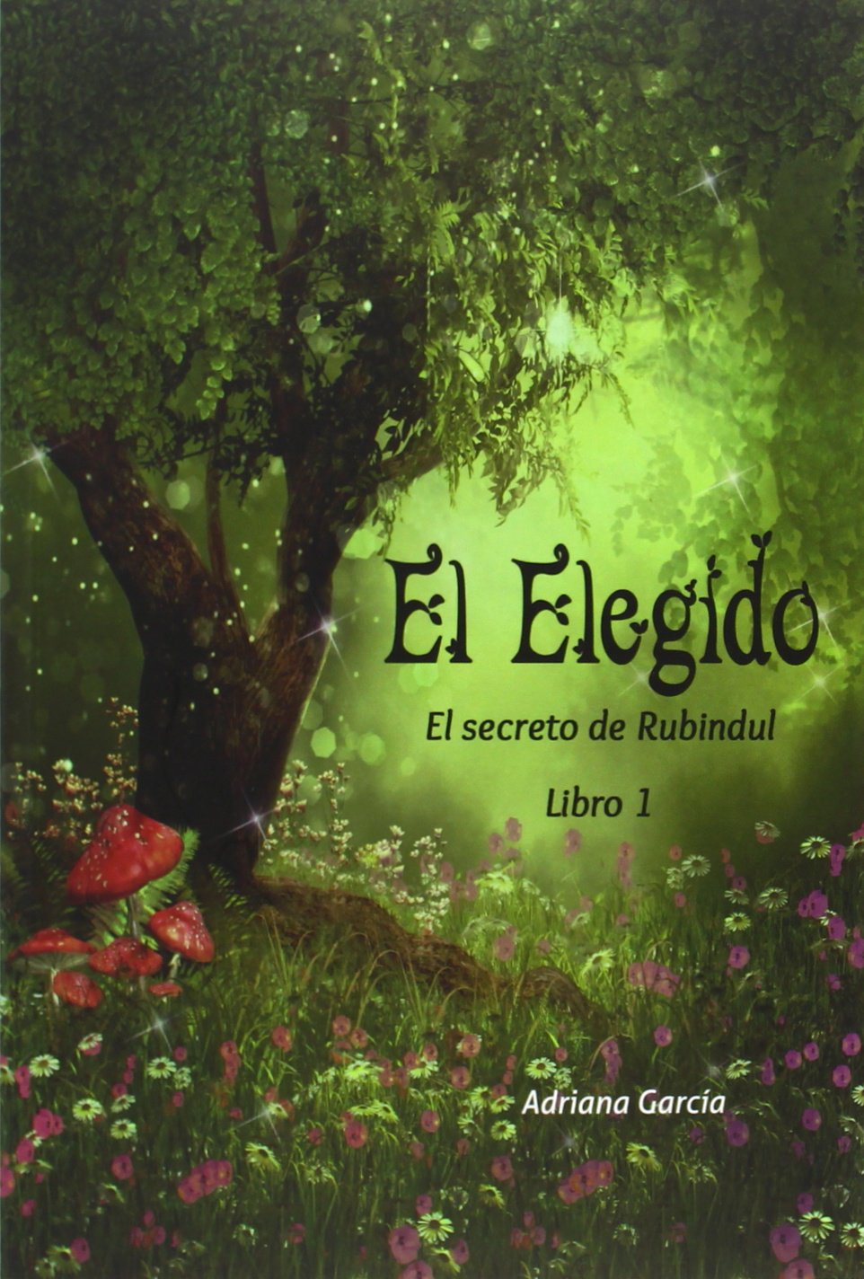 El Elegido (Libros para jóvenes, Band 1) Social Sciences