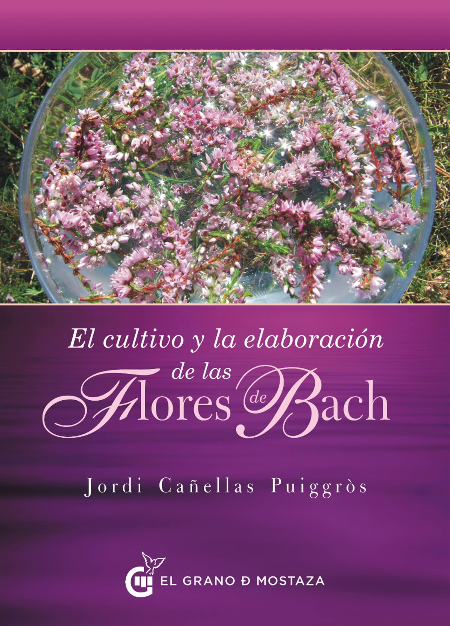 El cultivo y la elaboración de las flores de Bach Hobbies & Crafts
