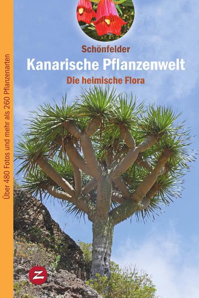 Kanarische Pflanzenwelt Leisure, Home & Garden