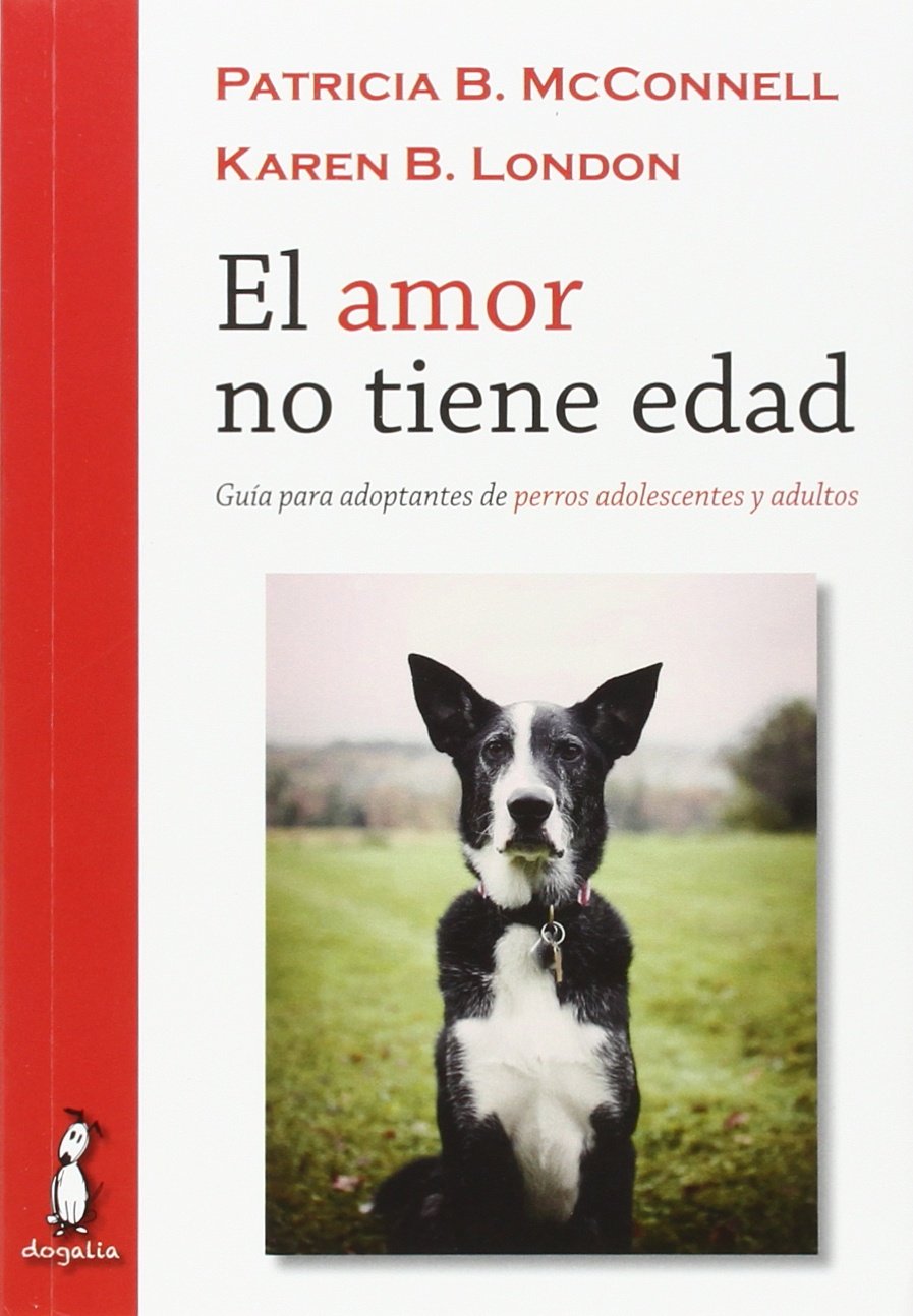 El amor no tiene edad: Guía para adoptantes de perros adolescentes y adultos book