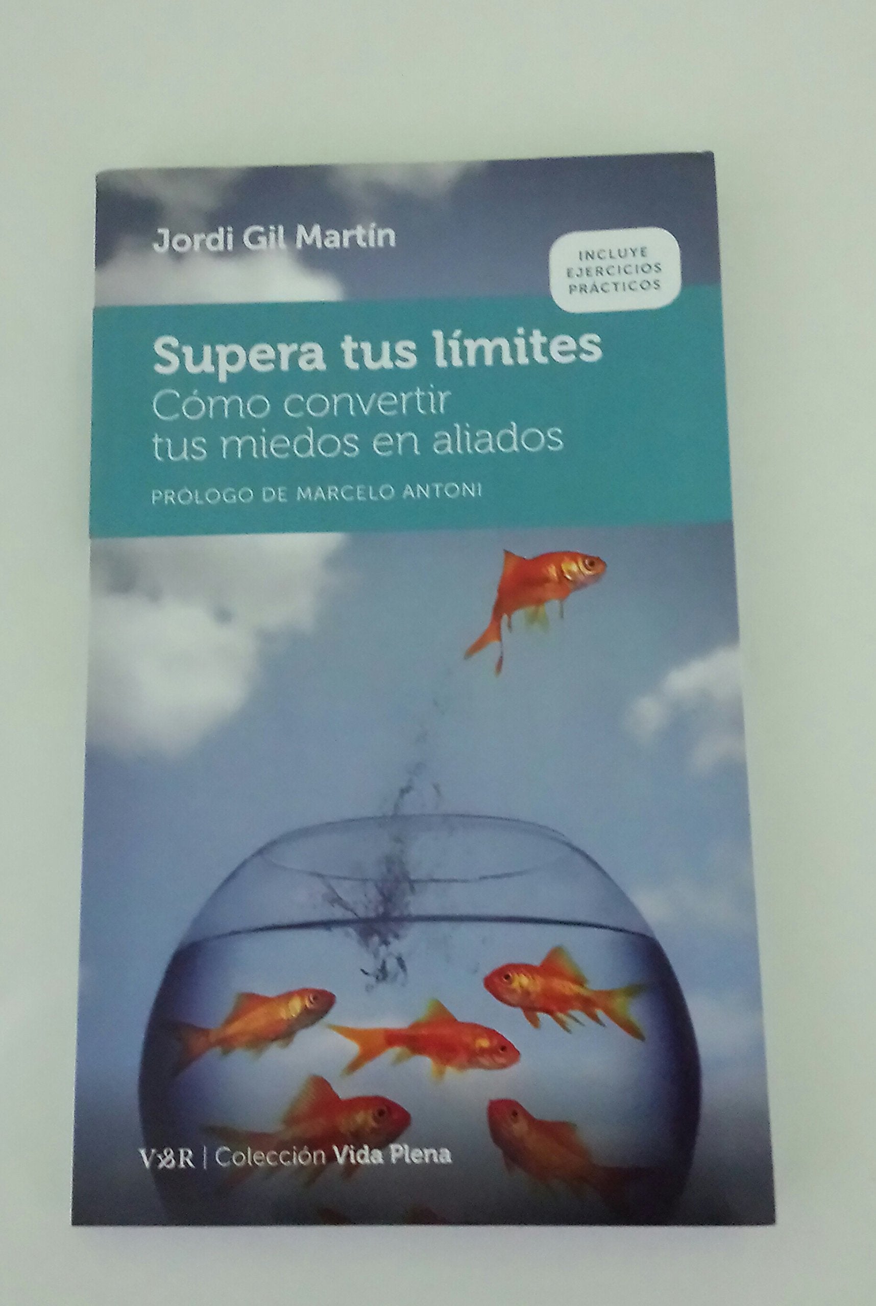 Supera tus límites: Cómo convertir tus miedos en aliados (Colección Vida Plena, Band 3) Parents & Children
