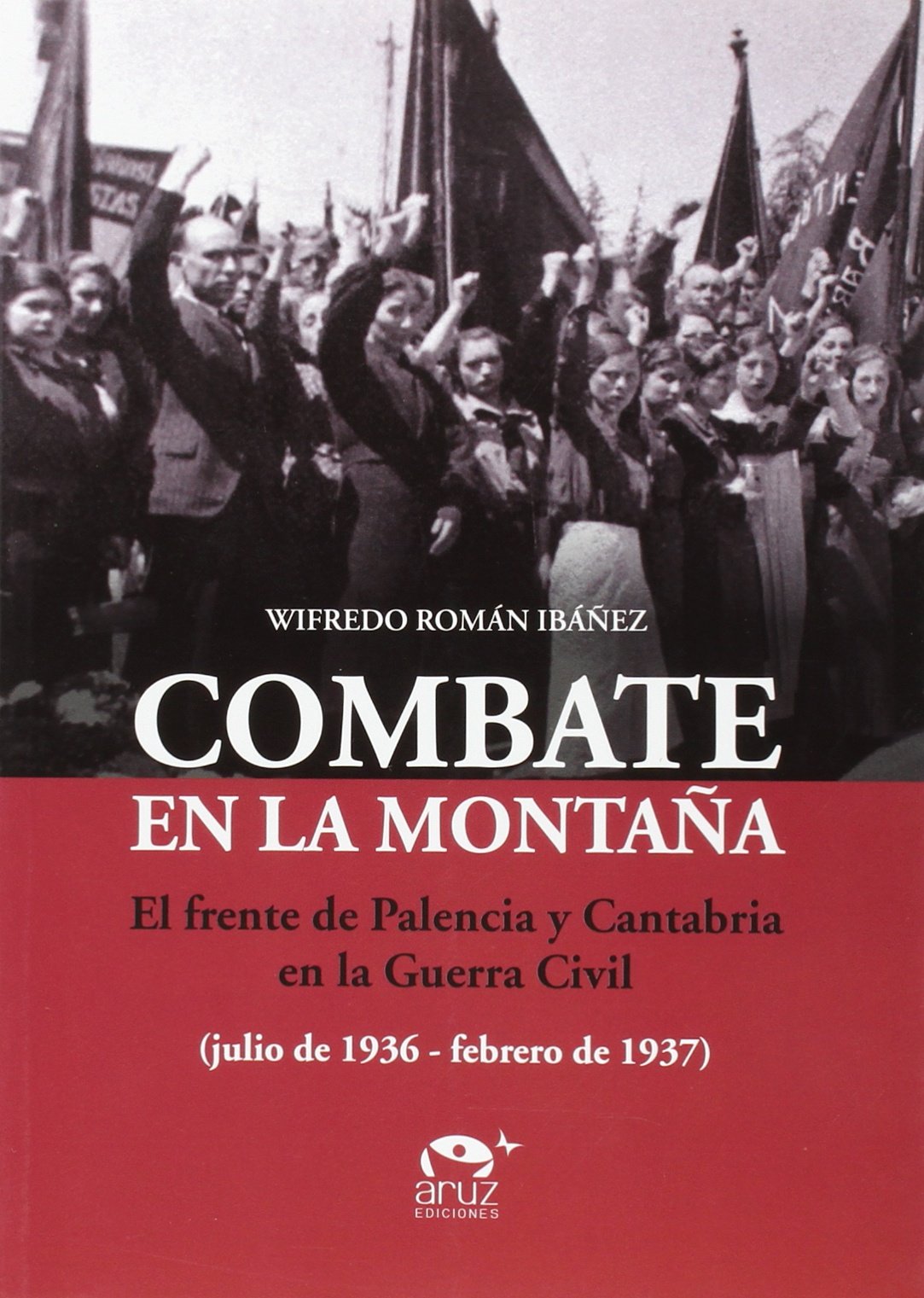 Combate en la montaña: El frente de Palencia y Cantabria en la Guerra Civil Books