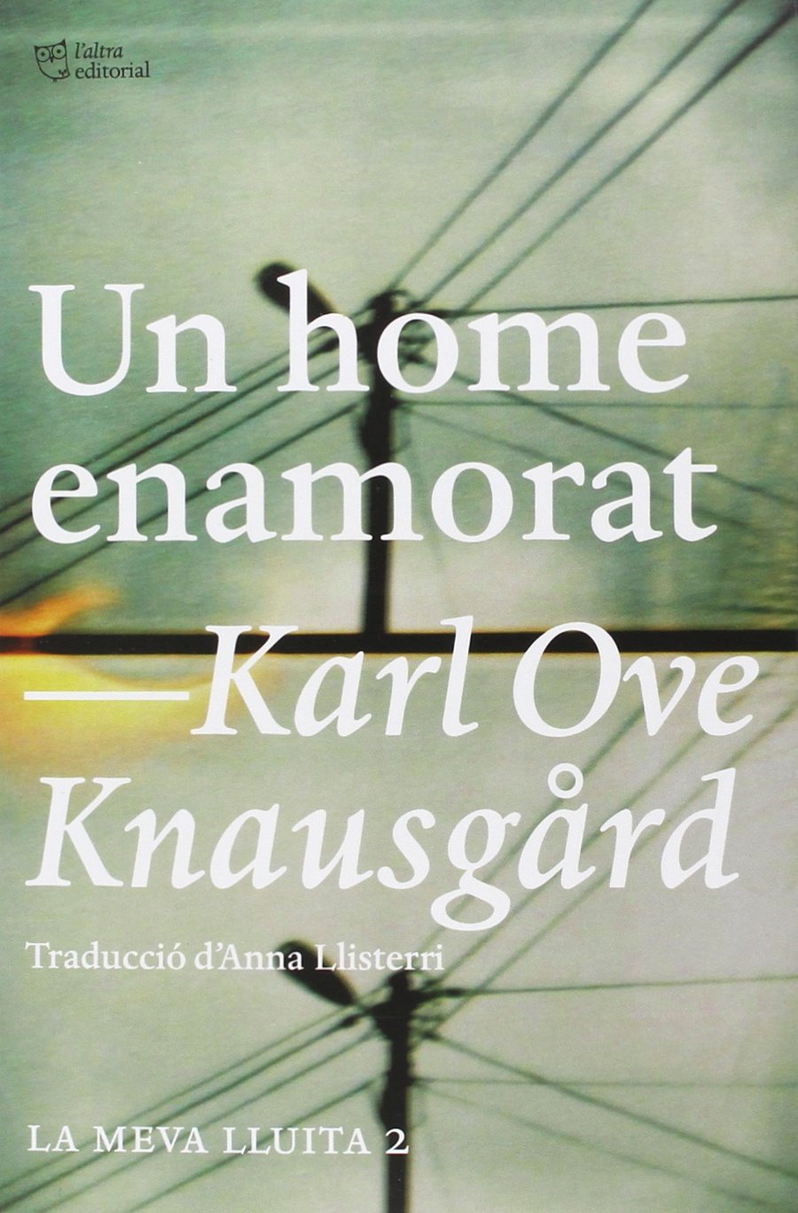 Un home enamorat: La meva lluita 2 book
