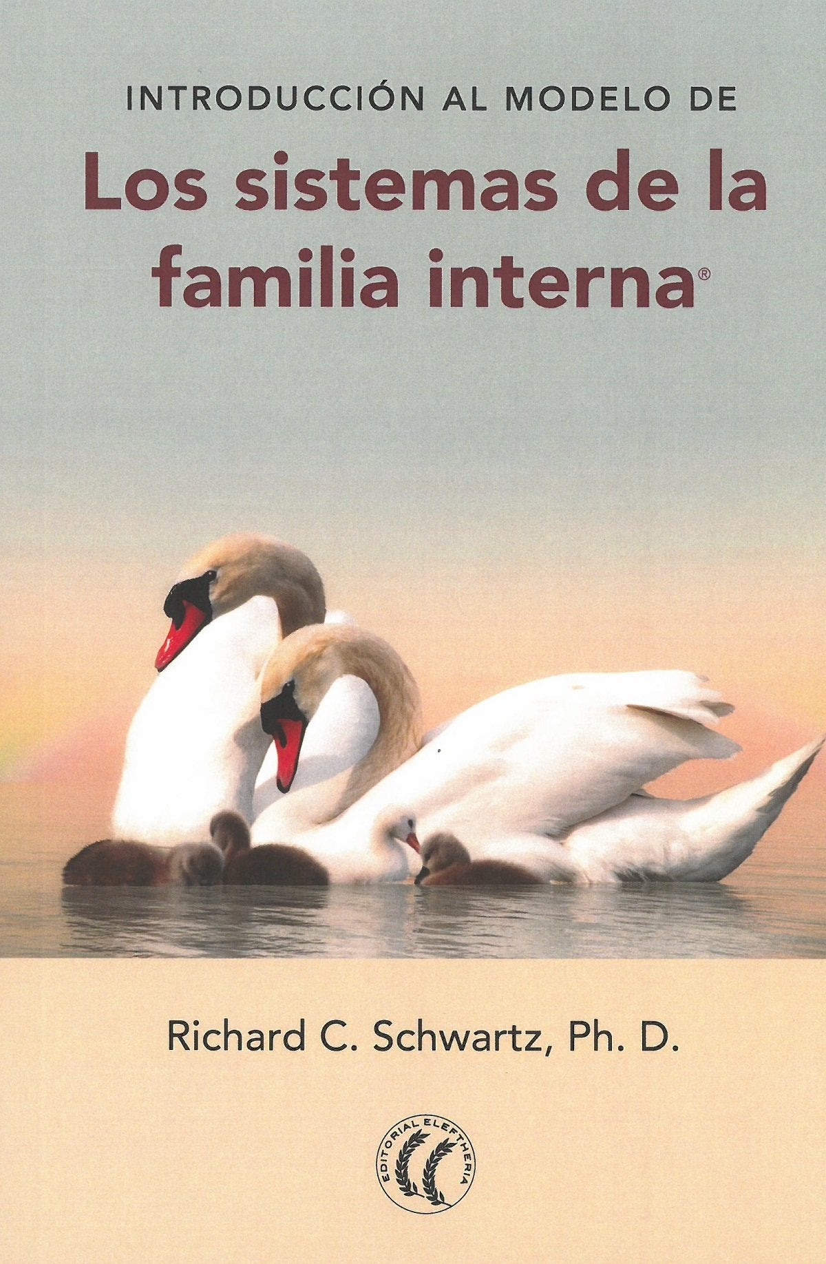 Introducción al modelo de los Sistemas de familia interna book