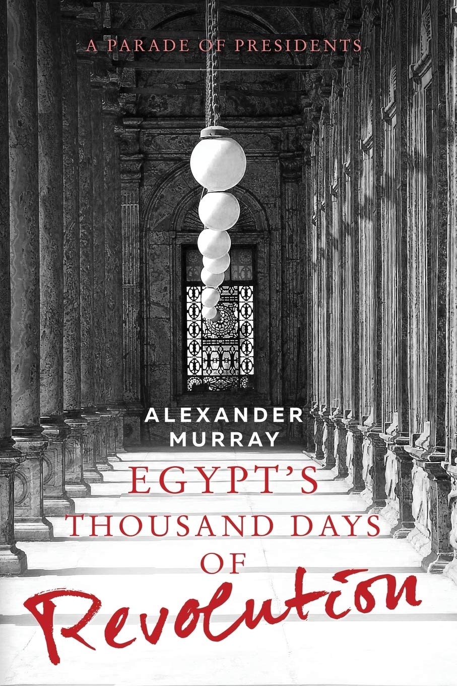 Egypt's Thousand Days of Revolution: A Parade of Presidents Politics & Society
