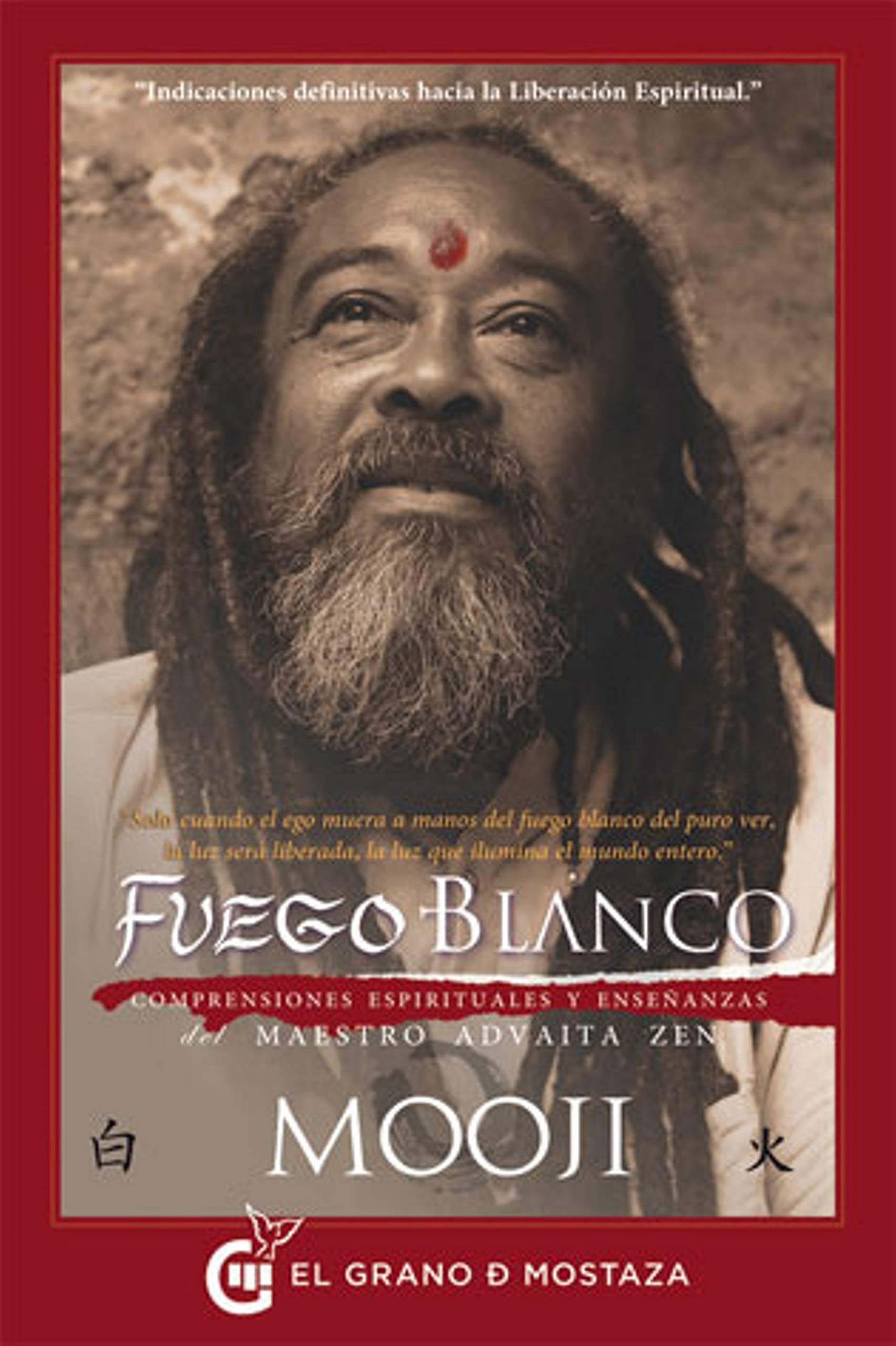 Fuego blanco: Comprensiones espirituales y enseñanzas del maestro Advaita Zen book