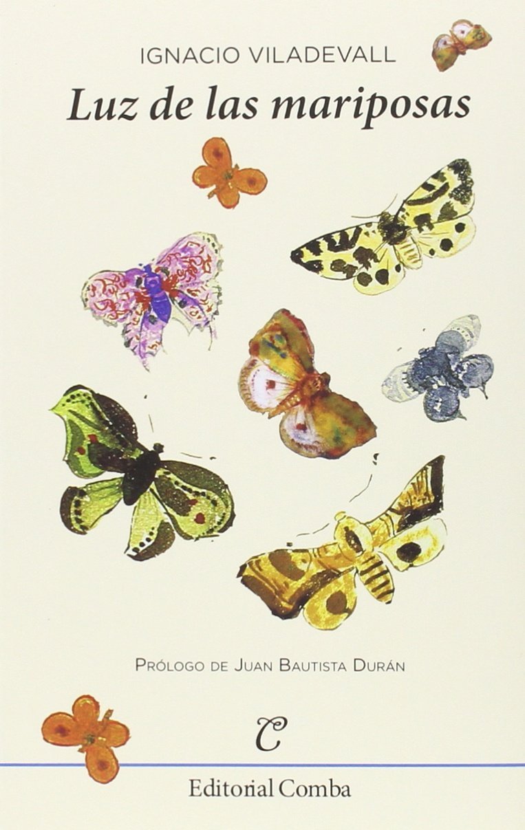 Luz de las mariposas (Ensayo, Band 12) Mathematics