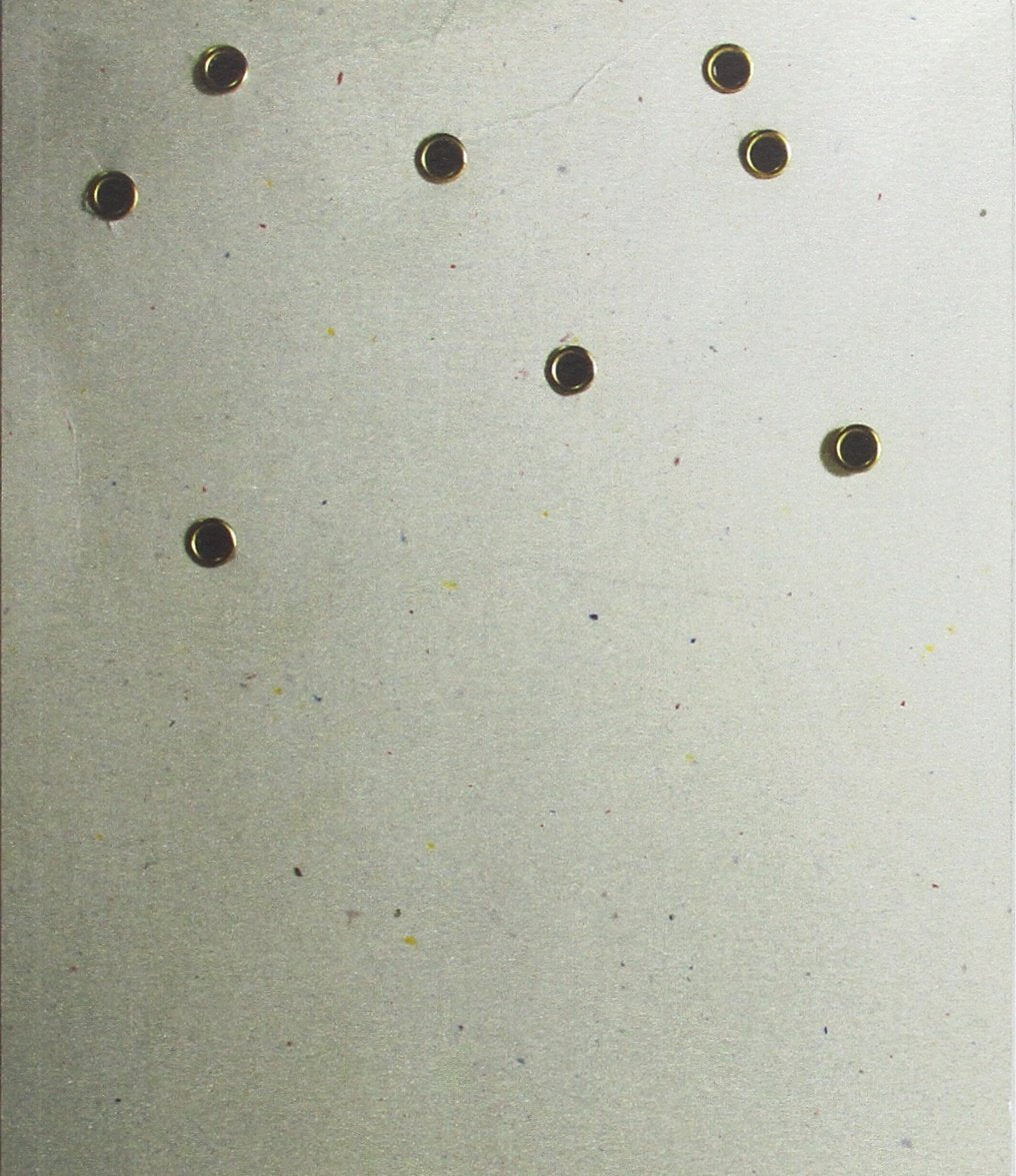 Despertar lloviendo (Libros de poemas, Band 34) Non-fiction
