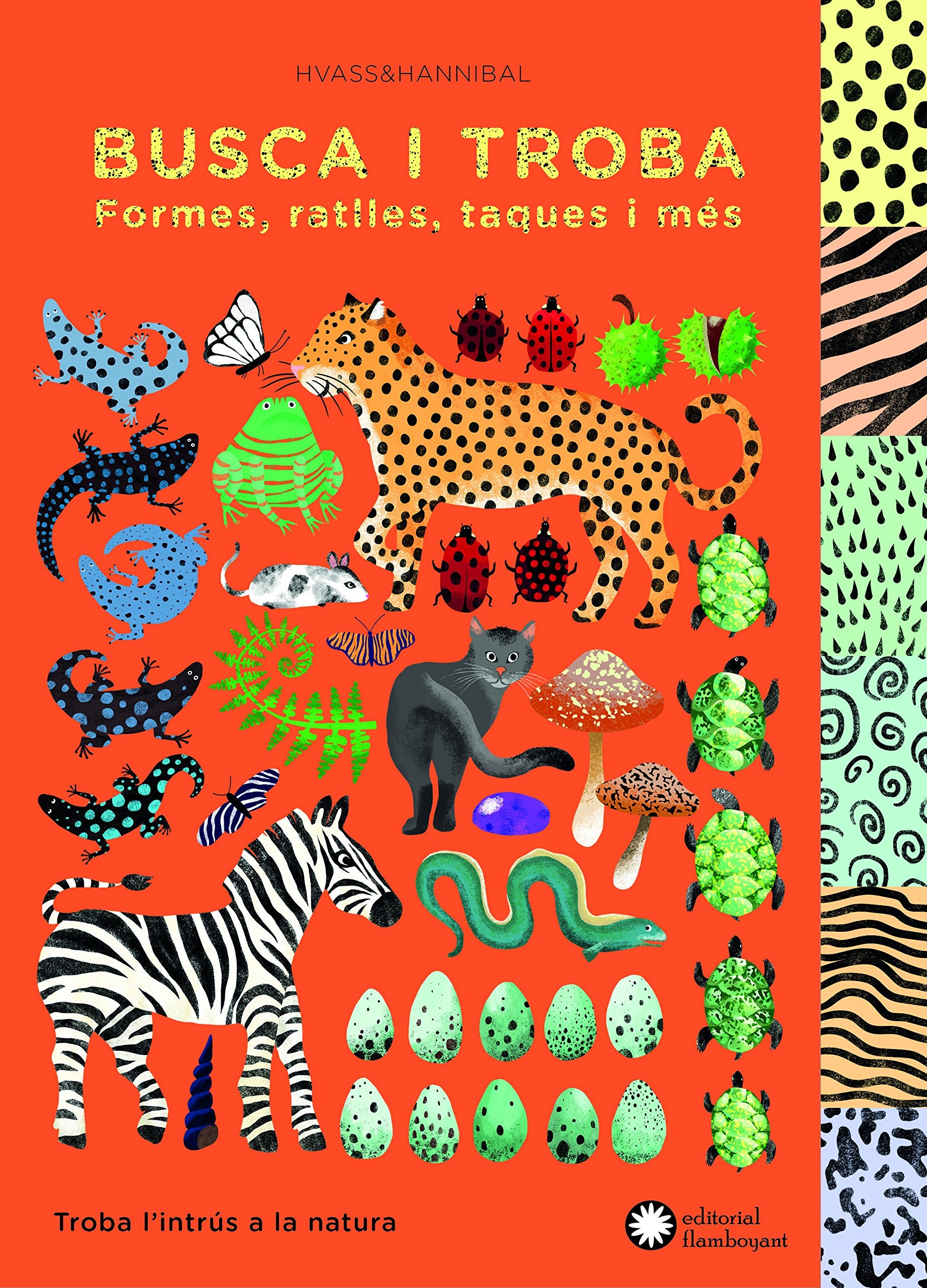 Busca i troba formes, ratlles, taques i més: Troba l'intrús a la natura book