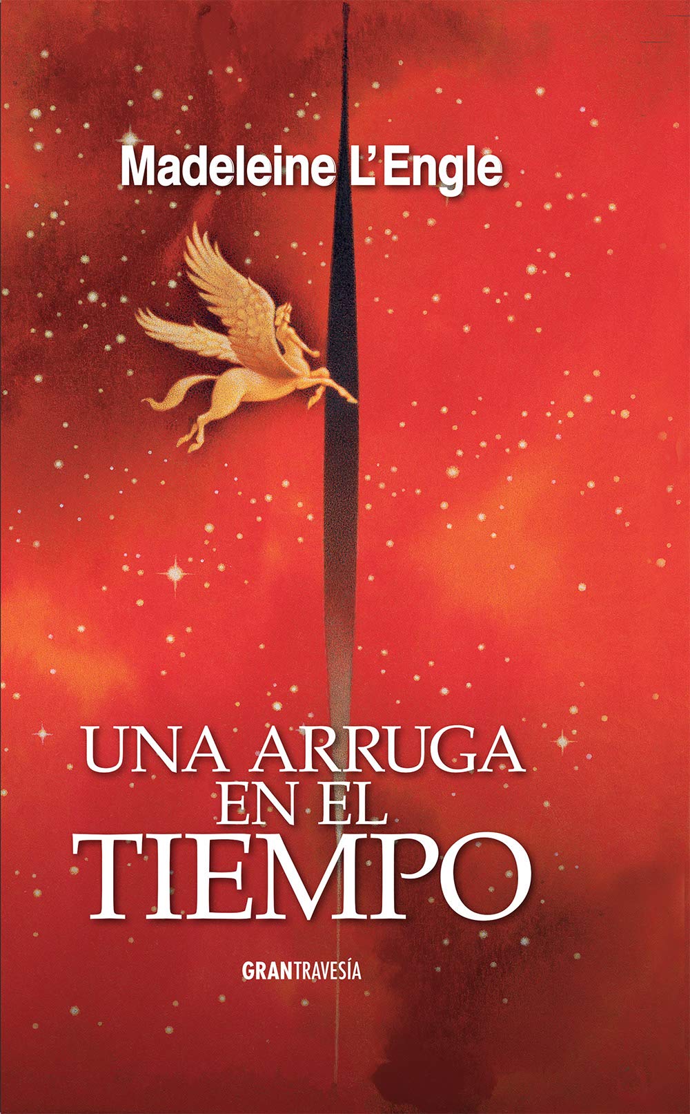 Una arruga en el tiempo book