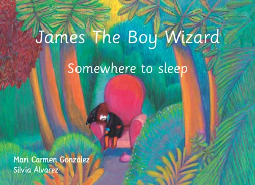 James The Boy Wizard. Somewhere to sleep Novels & Short Stories