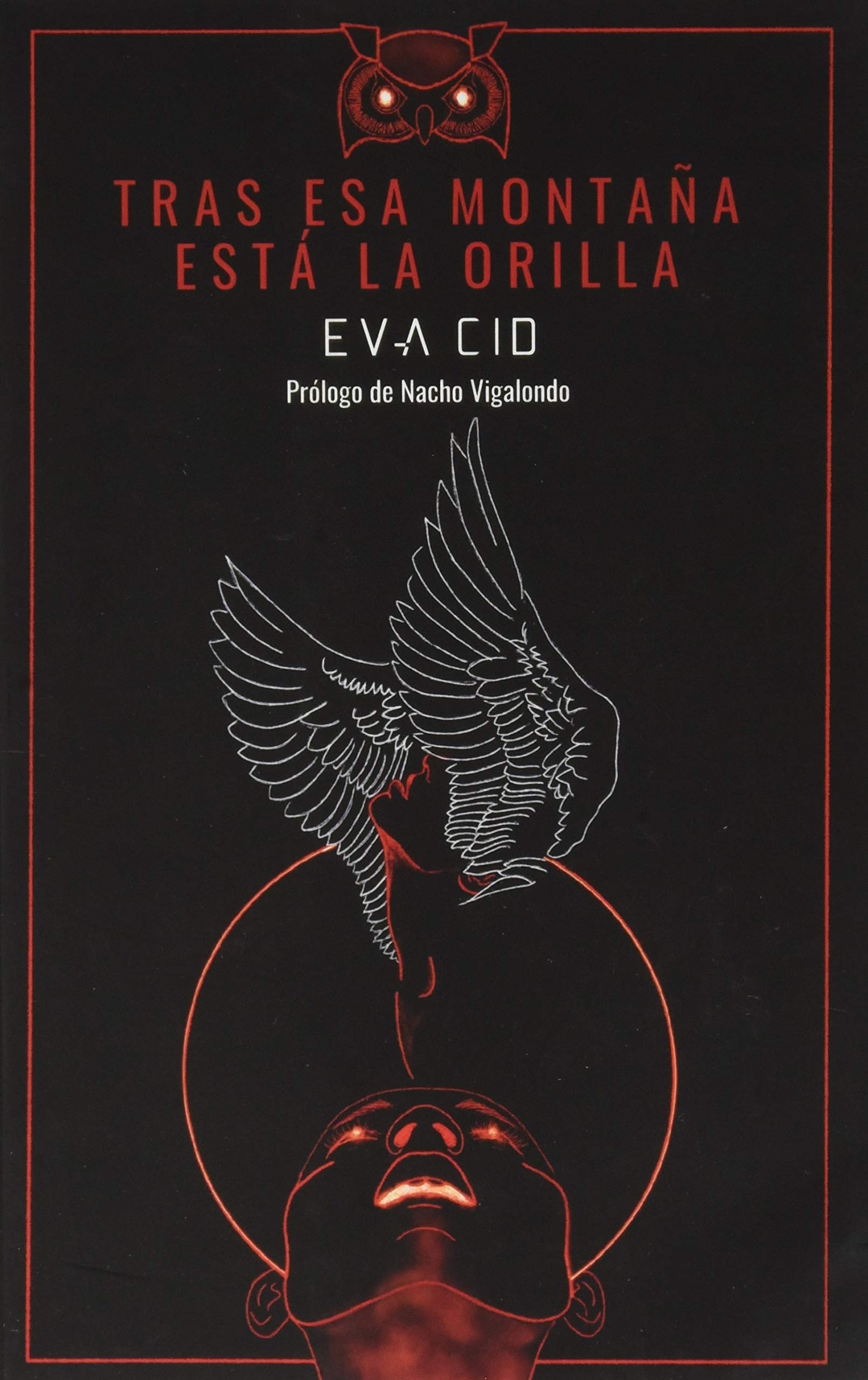 TRAS ESA MONTAÑA ESTÁ LA ORILLA book