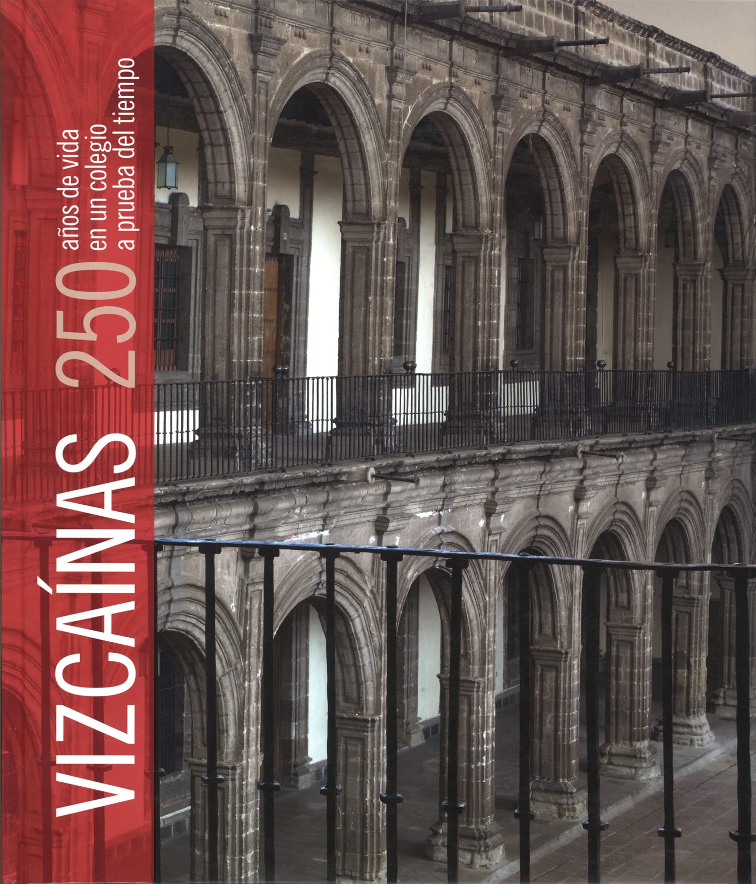 VIZCAÍNAS.250 AÑOS DE VIDA EN UN COLEGIO A PRUEBA DEL TIEMPO Books