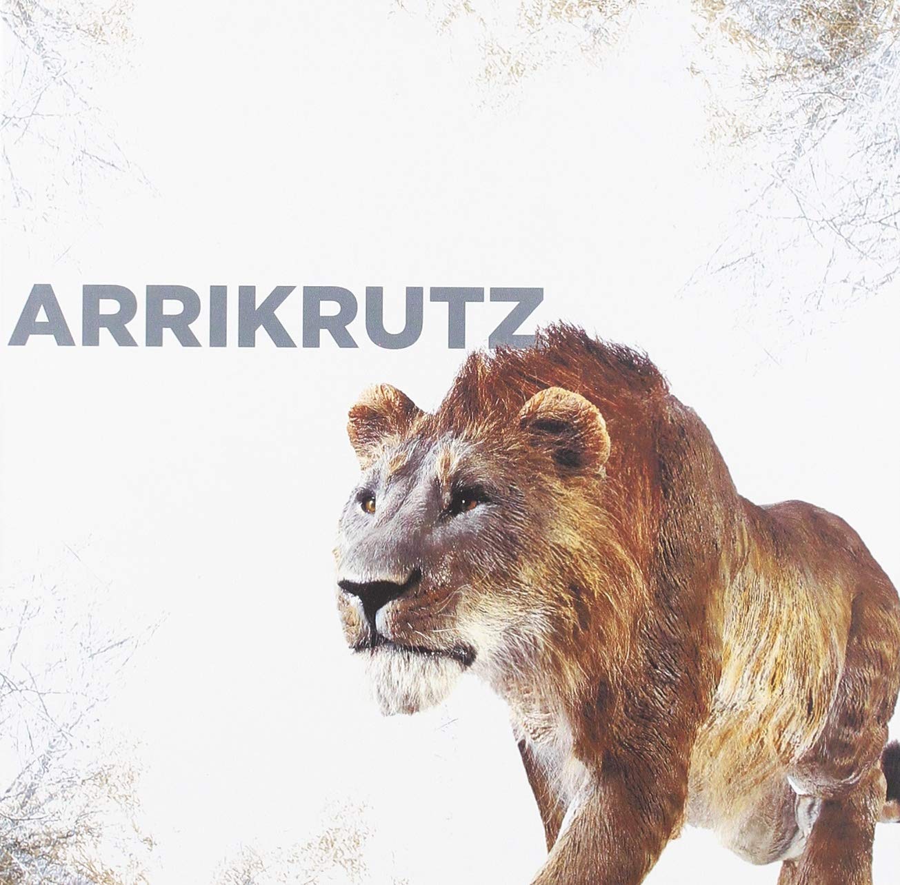 Arrikrutz: Arrikruzko lehoia = El león de Arrikrutz (Aranzadi bilduma, Band 3) Books