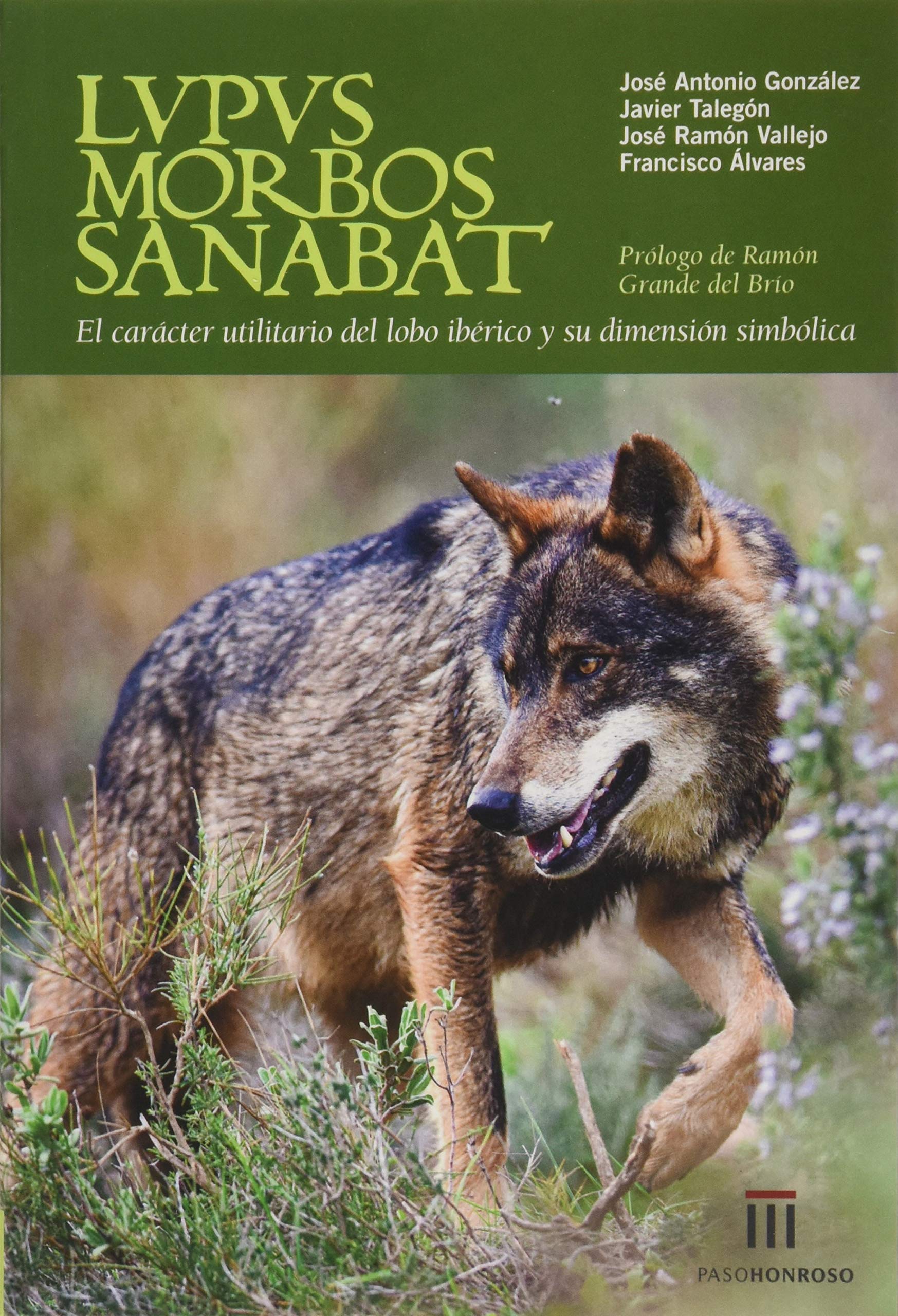 LUPUS MORBOS SANABAT: EL CARACTER UTILITARIO DEL LOBO IBERICO Y SU DIMENSION SIMBOLICA book