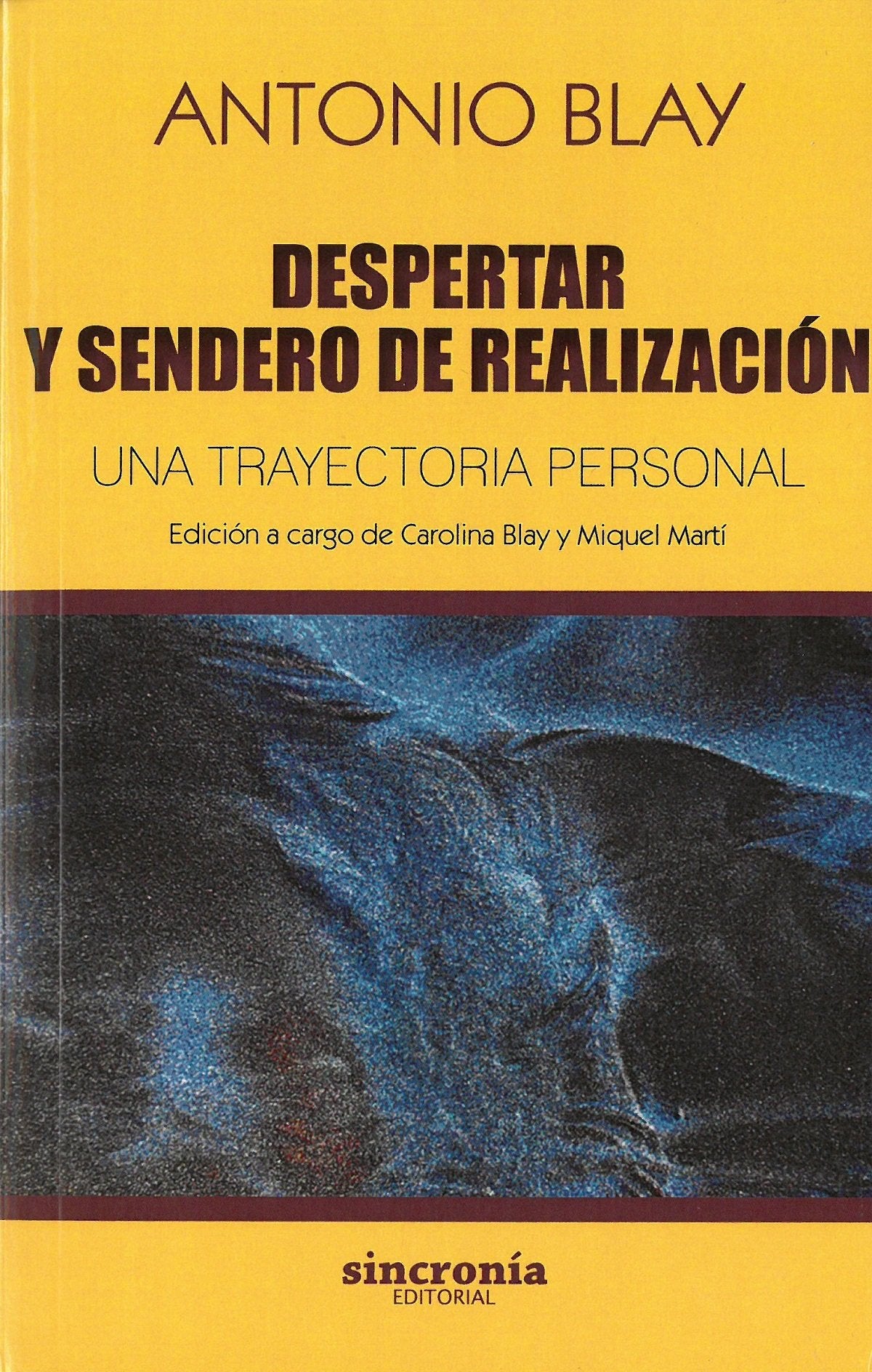 Despertar y sendero de realización : una trayectoria personal (Antonio Blay, Band 9) Books